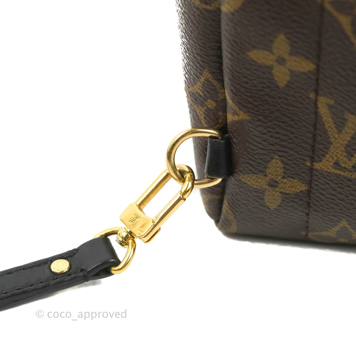 Louis Vuitton Monogram Mini Palm Springs Backpack⁣