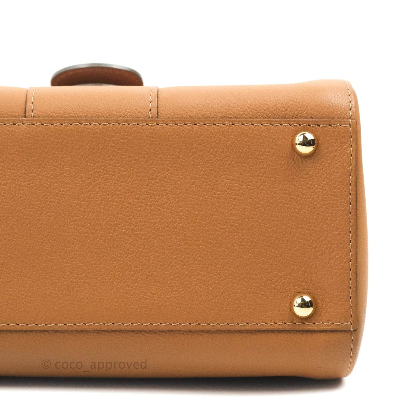 Delvaux Mini Brillant Bag Vegetal Rodeo Calf Gold Hardware