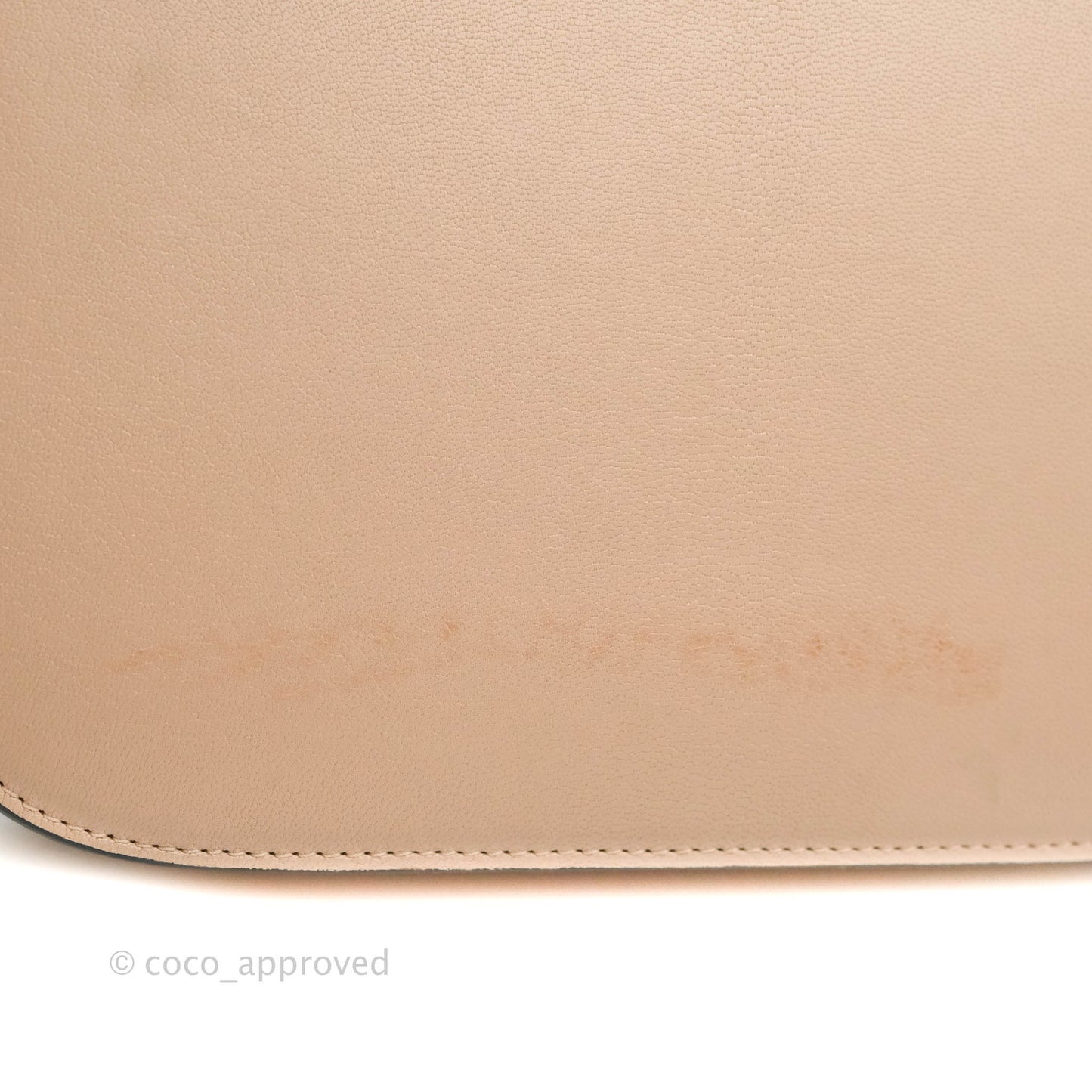 Celine Medium Classic Box Flap Blush Goatskin