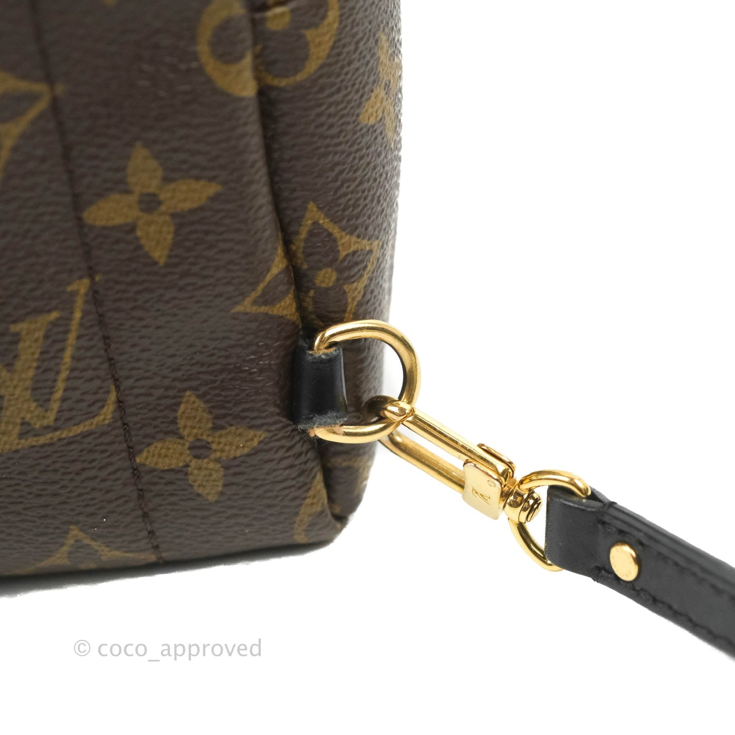 Louis Vuitton Monogram Mini Palm Springs Backpack⁣