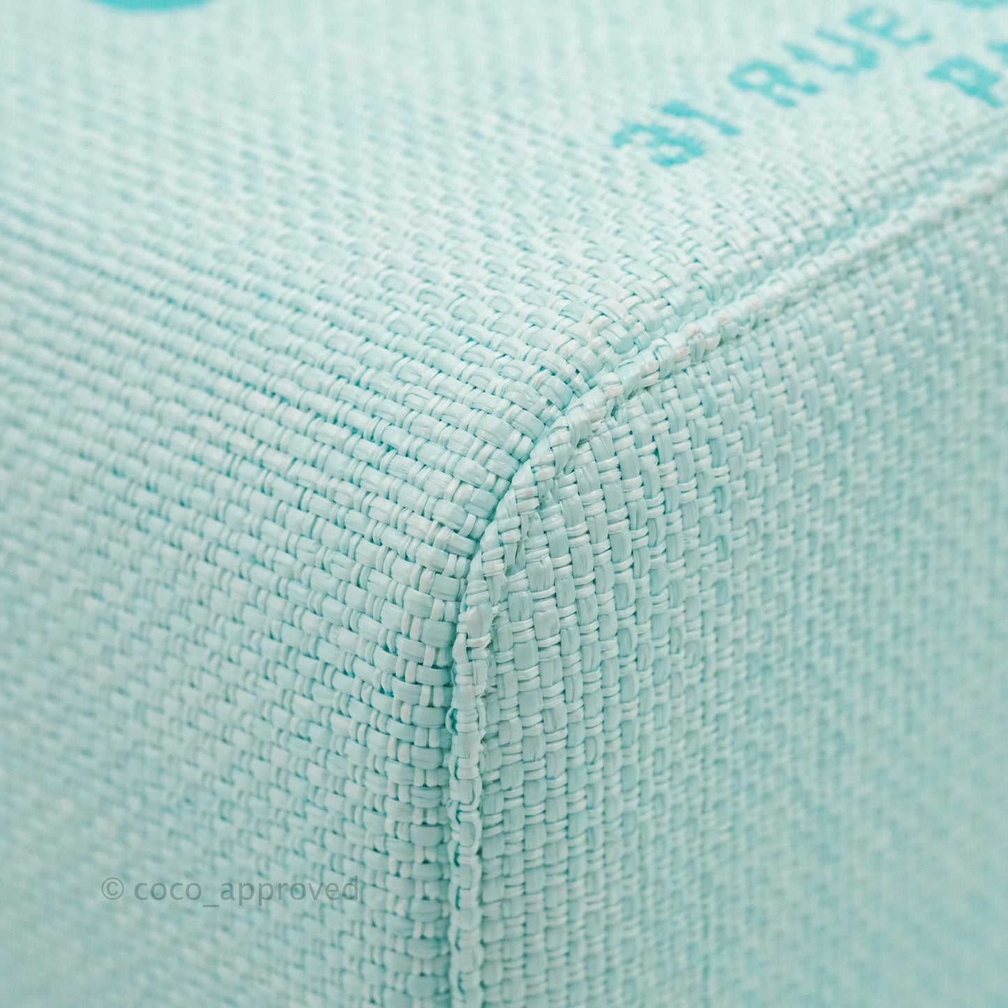 Chanel Deauville Vanity Pouch Mint Raffia Calfskin