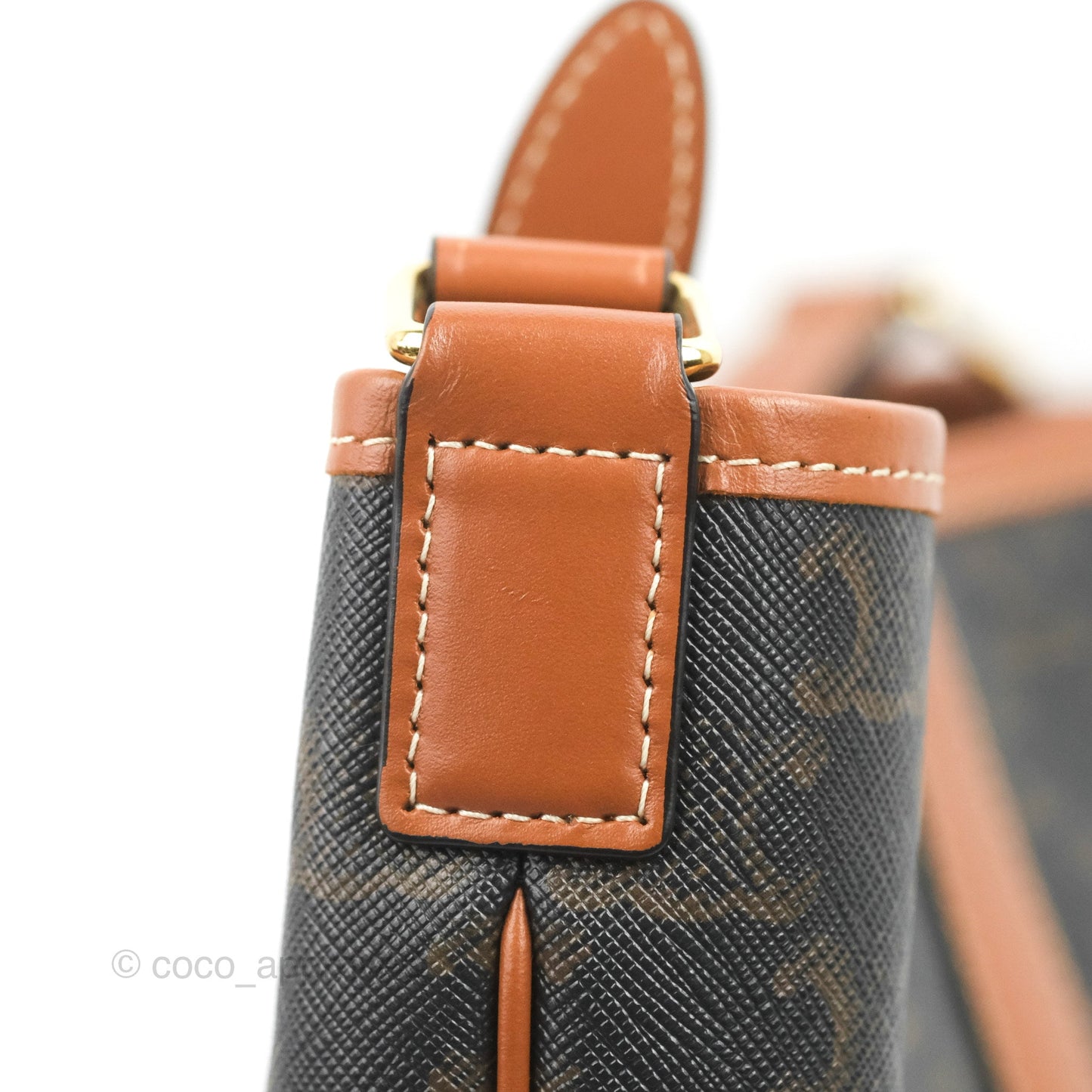 Celine Small Bucket Triomphe Canvas Tan Calfskin