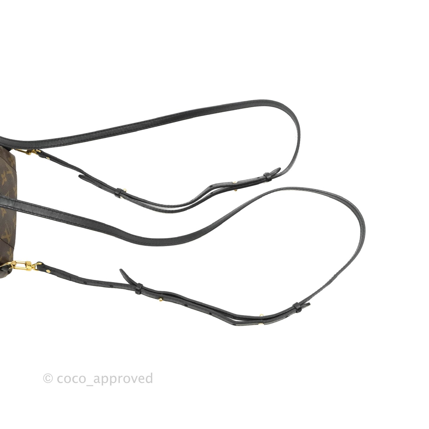 Louis Vuitton Monogram Mini Palm Springs Backpack⁣