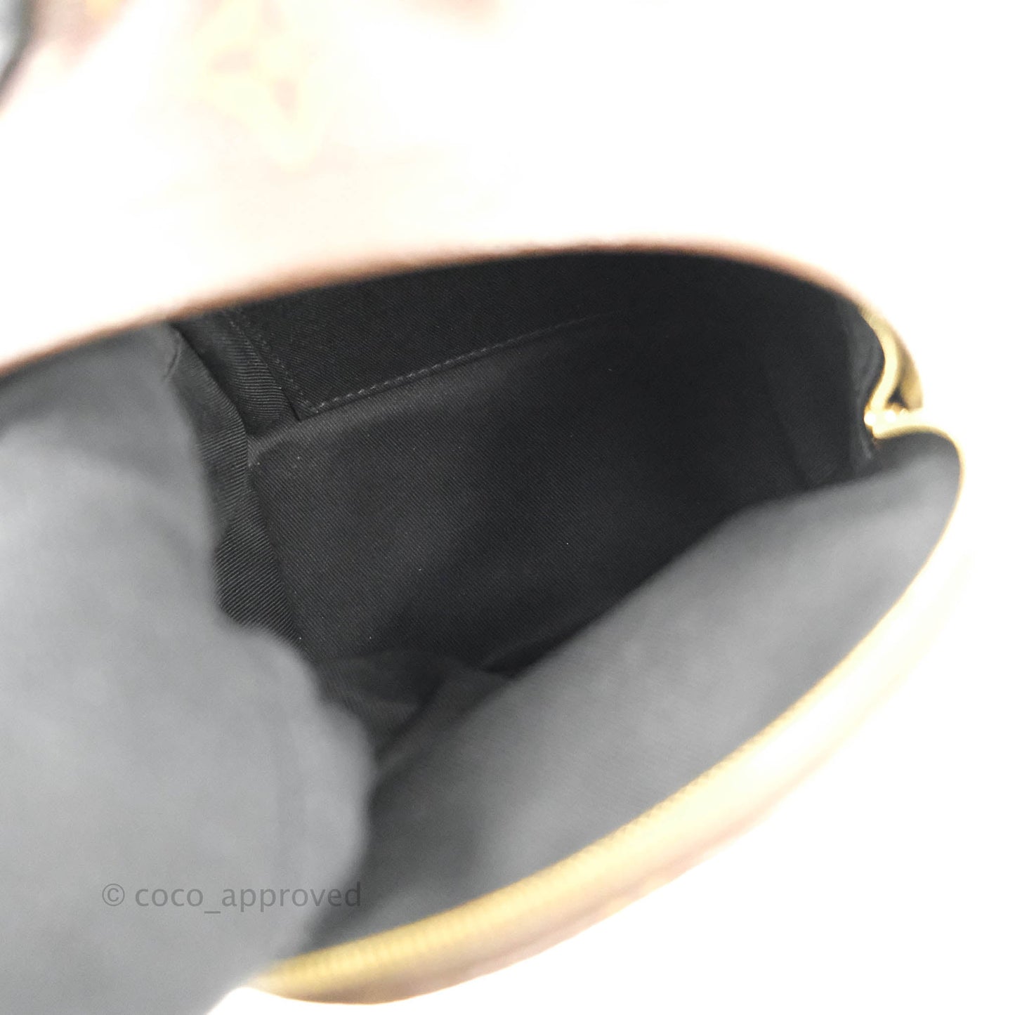 Louis Vuitton Monogram Mini Palm Springs Backpack⁣