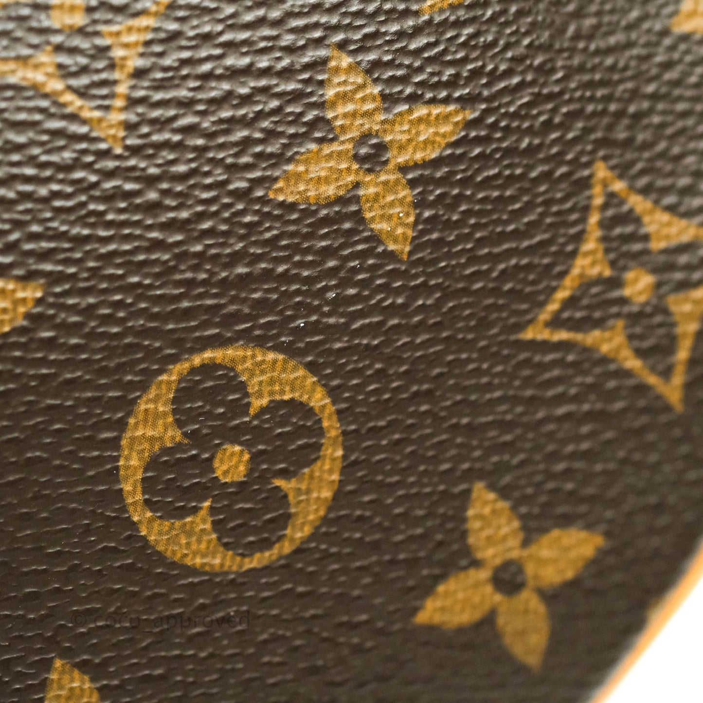 Louis Vuitton Monogram Canvas Saint Cloud Bag