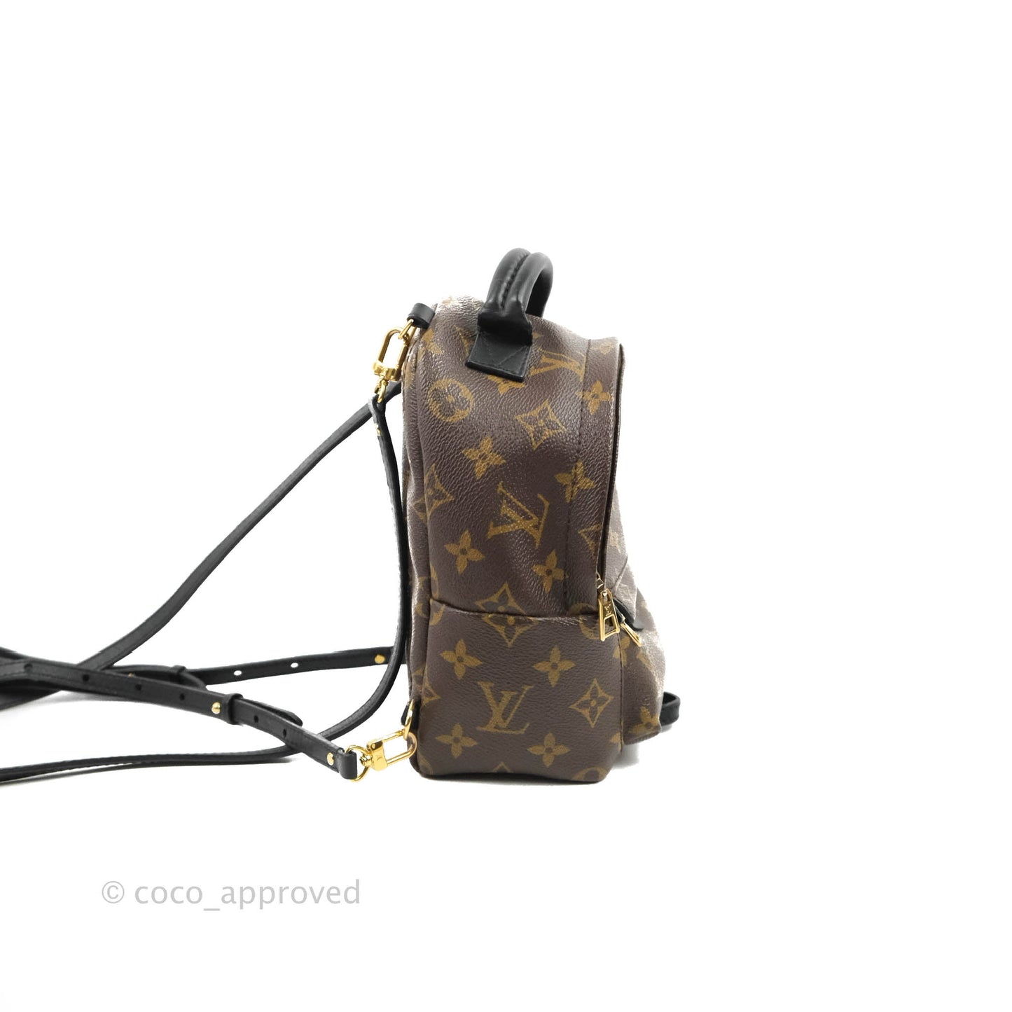 Louis Vuitton Monogram Mini Palm Springs Backpack⁣