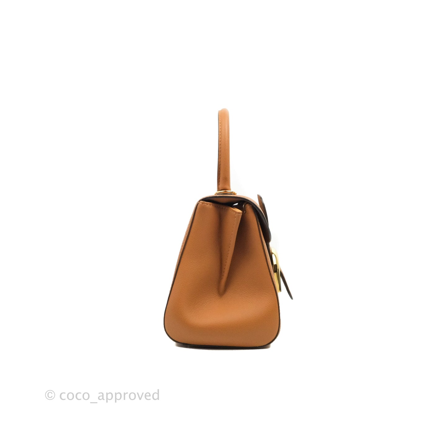 Delvaux Mini Brillant Bag Vegetal Rodeo Calf Gold Hardware