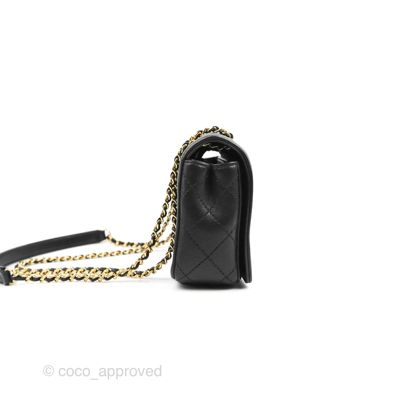 Chanel Small Vintage Mademoiselle Flap Black Sheepskin Gold Hardware