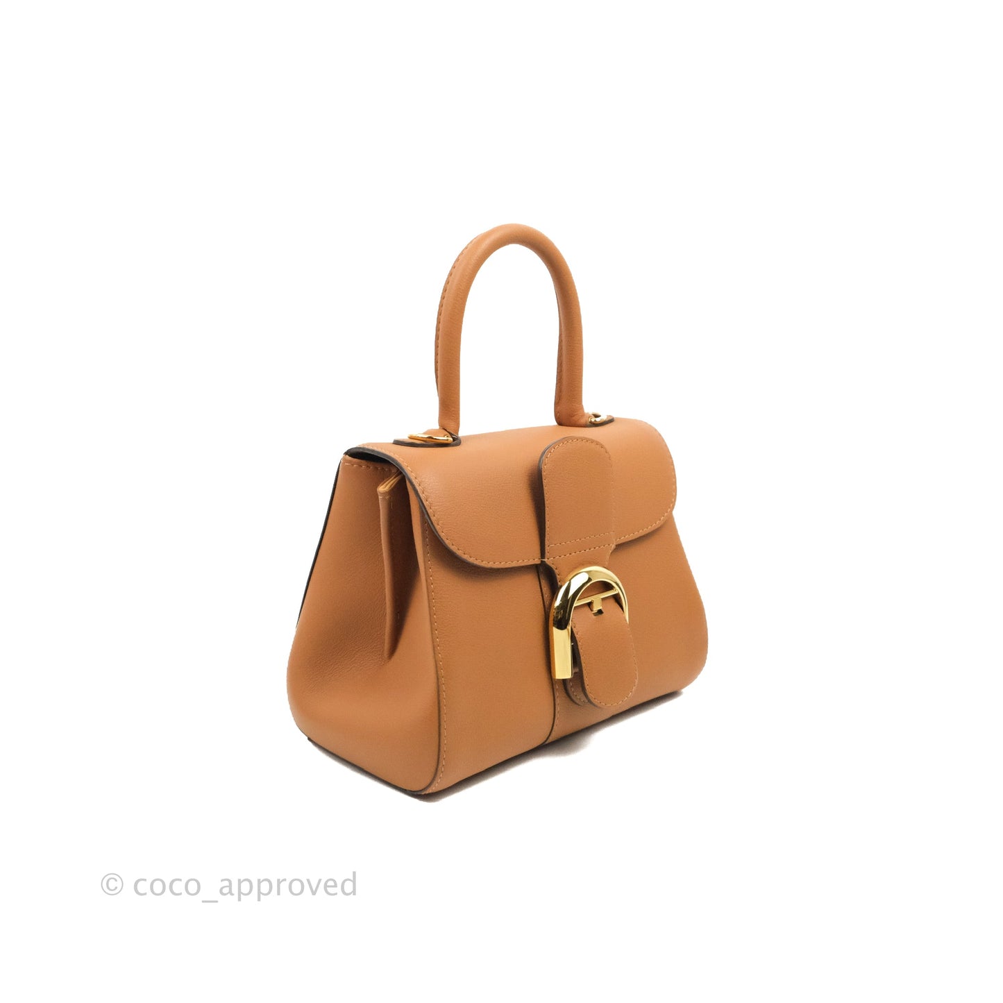 Delvaux Mini Brillant Bag Vegetal Rodeo Calf Gold Hardware