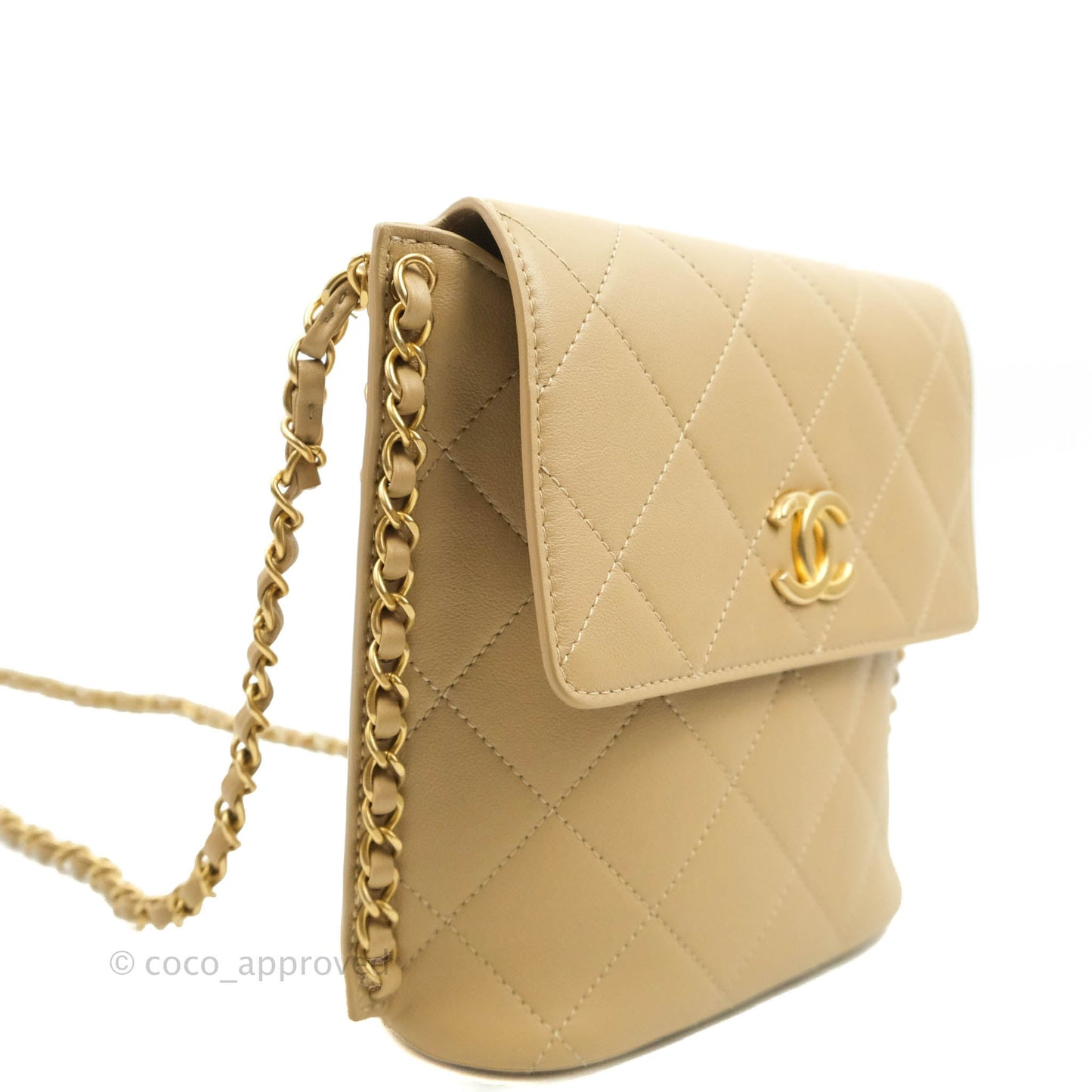 Chanel Small Hobo Bag Beige Calfskin Aged Gold Hardware