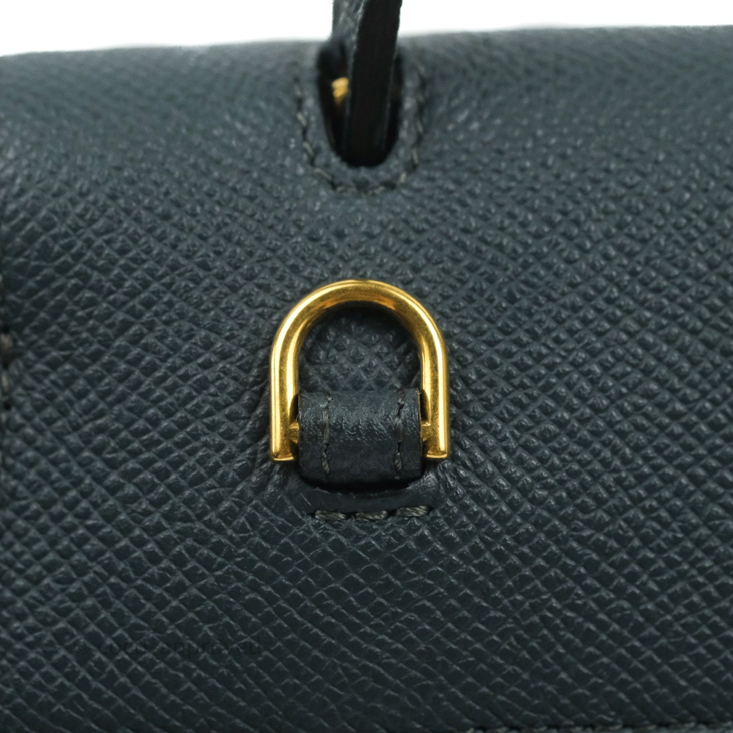 Celine Nano Belt Bag Amazone Grained Calfskin Gold Hardware