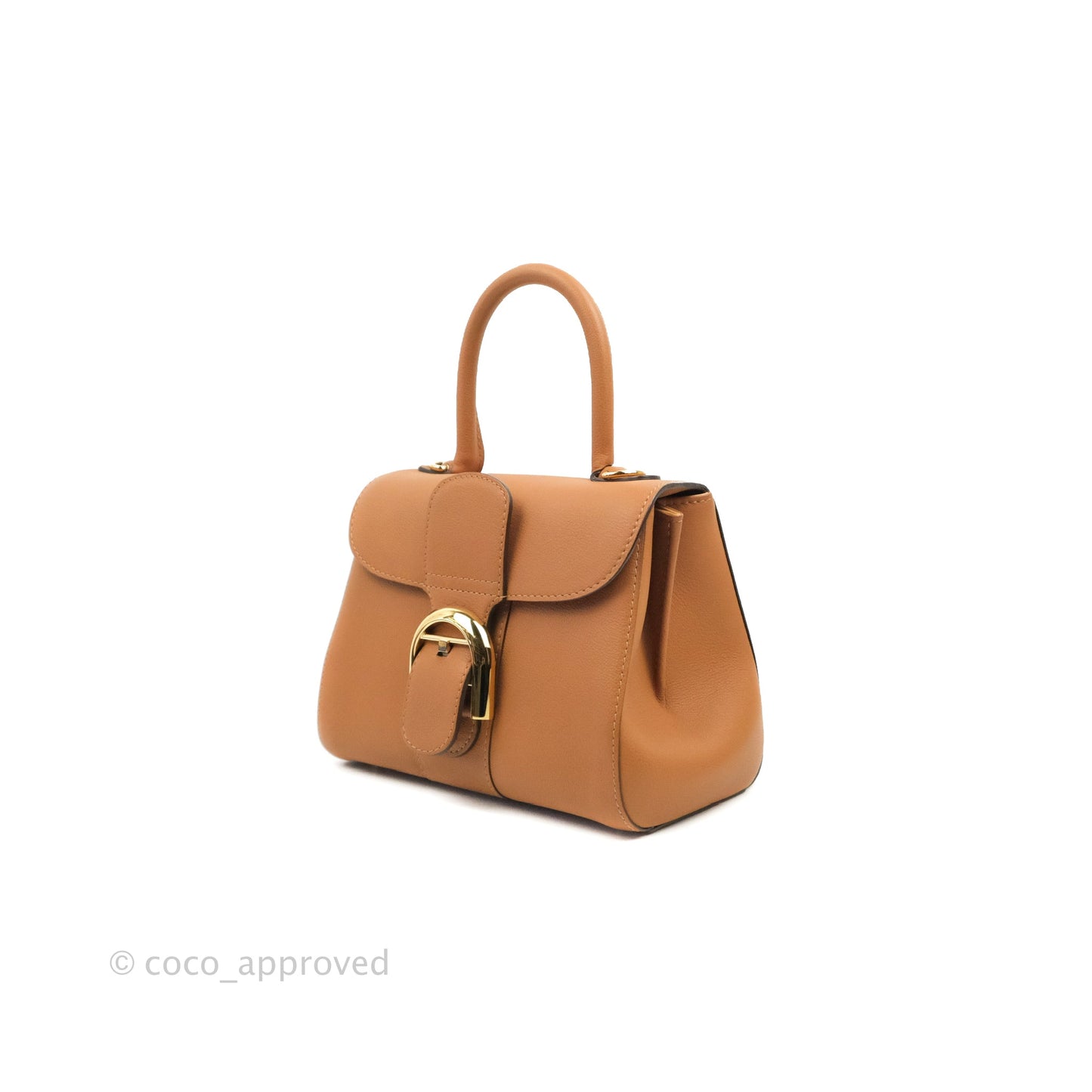 Delvaux Mini Brillant Bag Vegetal Rodeo Calf Gold Hardware