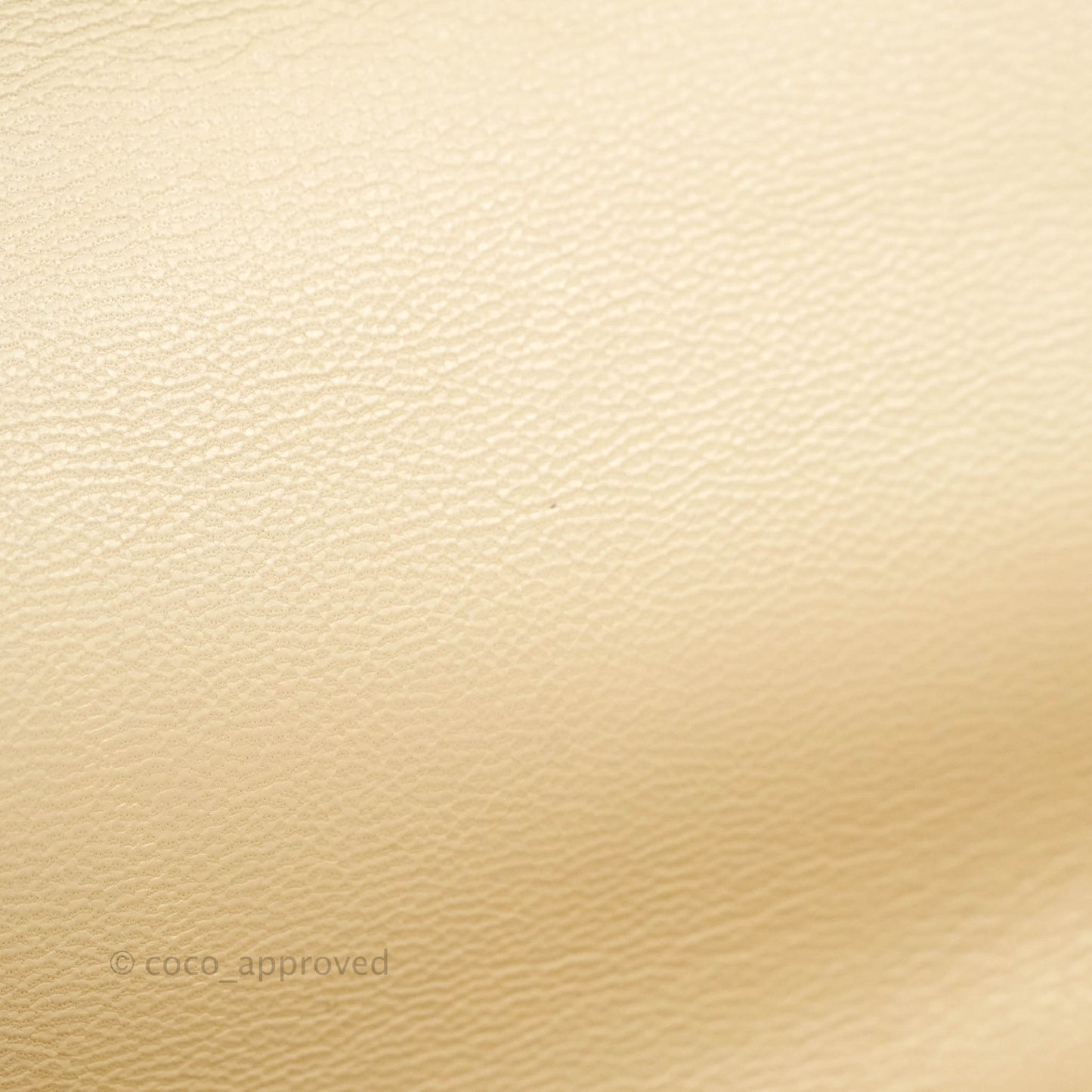 Chanel 19 Medium Beige Goatskin Mixed Hardware 20A