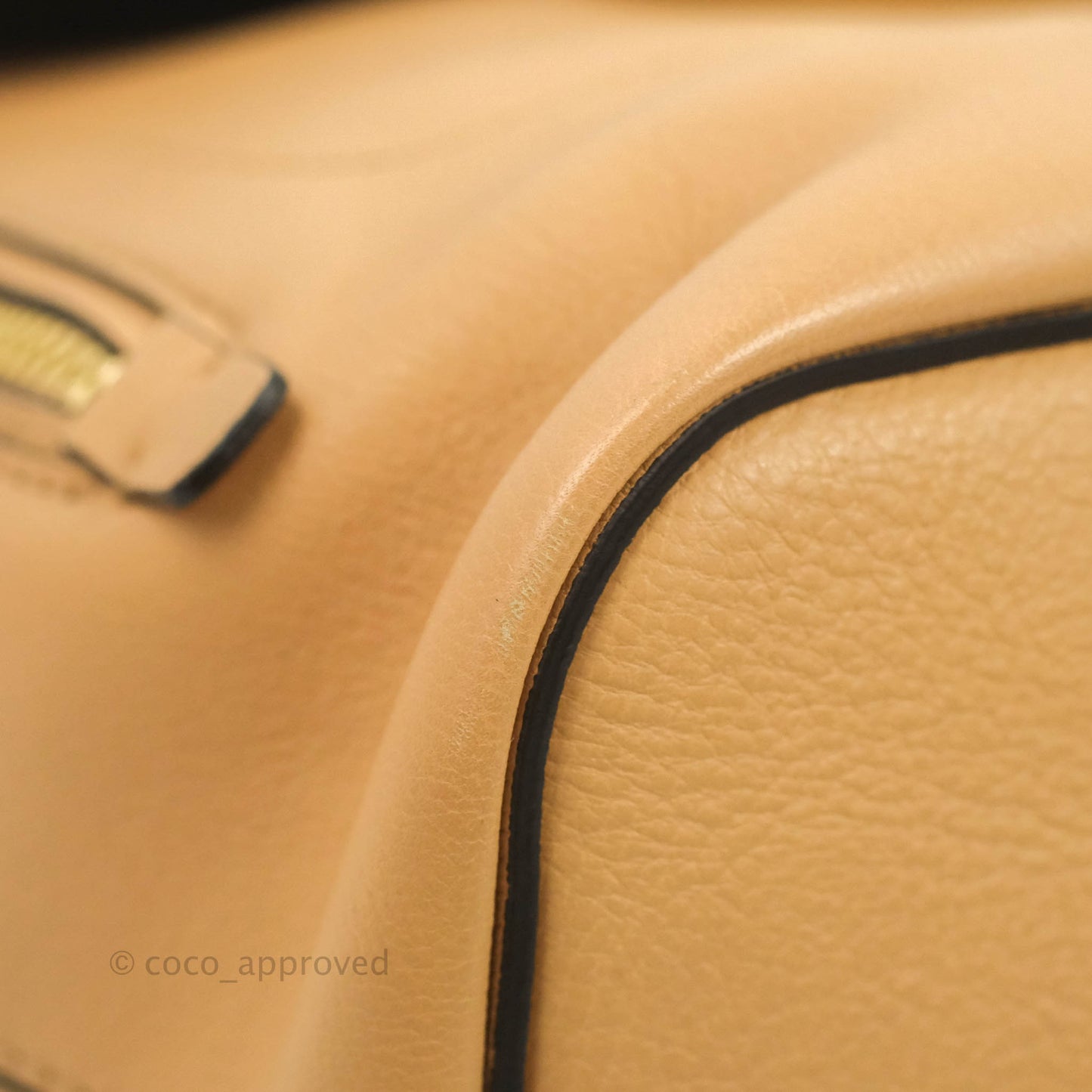 Chloe Small Faye Backpack Suede Calfskin Gold Hardware Blush Nude