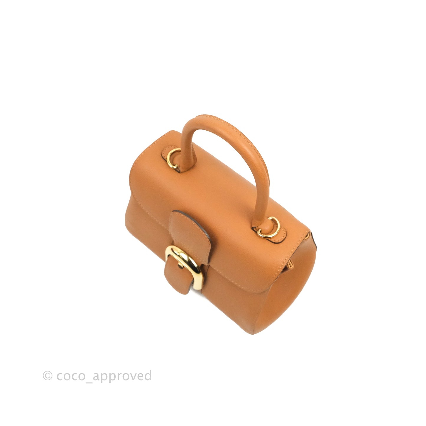 Delvaux Mini Brillant Bag Vegetal Rodeo Calf Gold Hardware