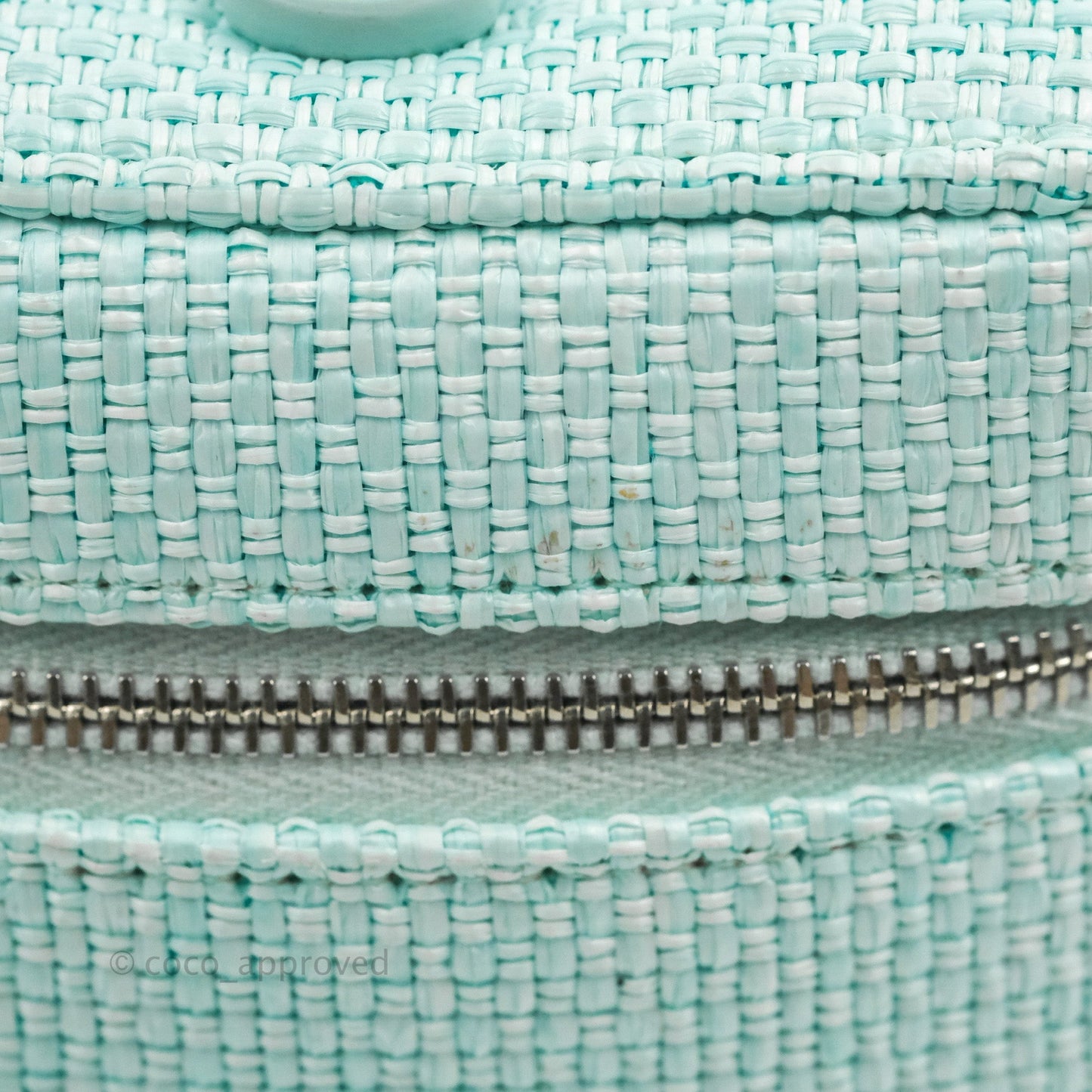 Chanel Deauville Vanity Pouch Mint Raffia Calfskin