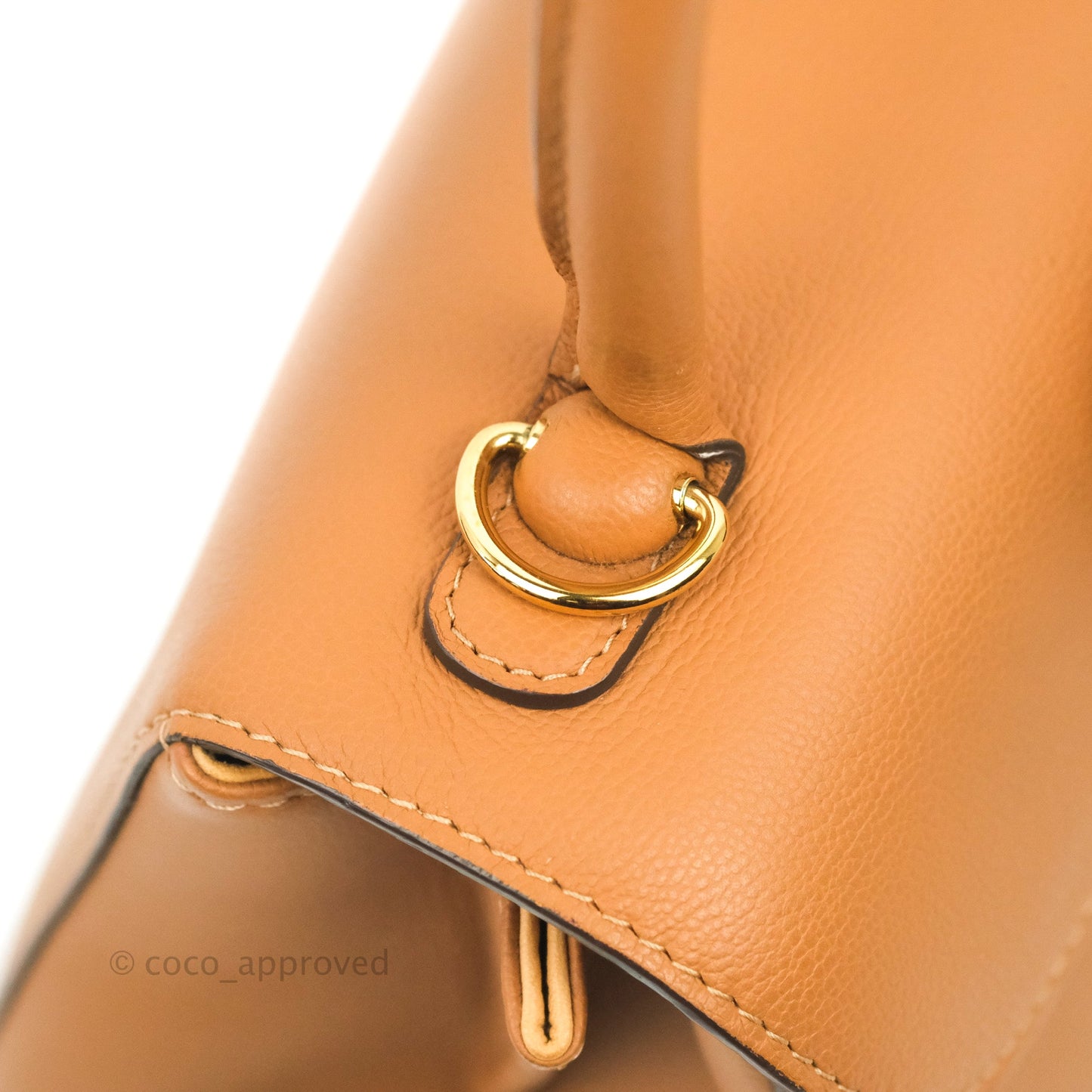 Delvaux Mini Brillant Bag Vegetal Rodeo Calf Gold Hardware