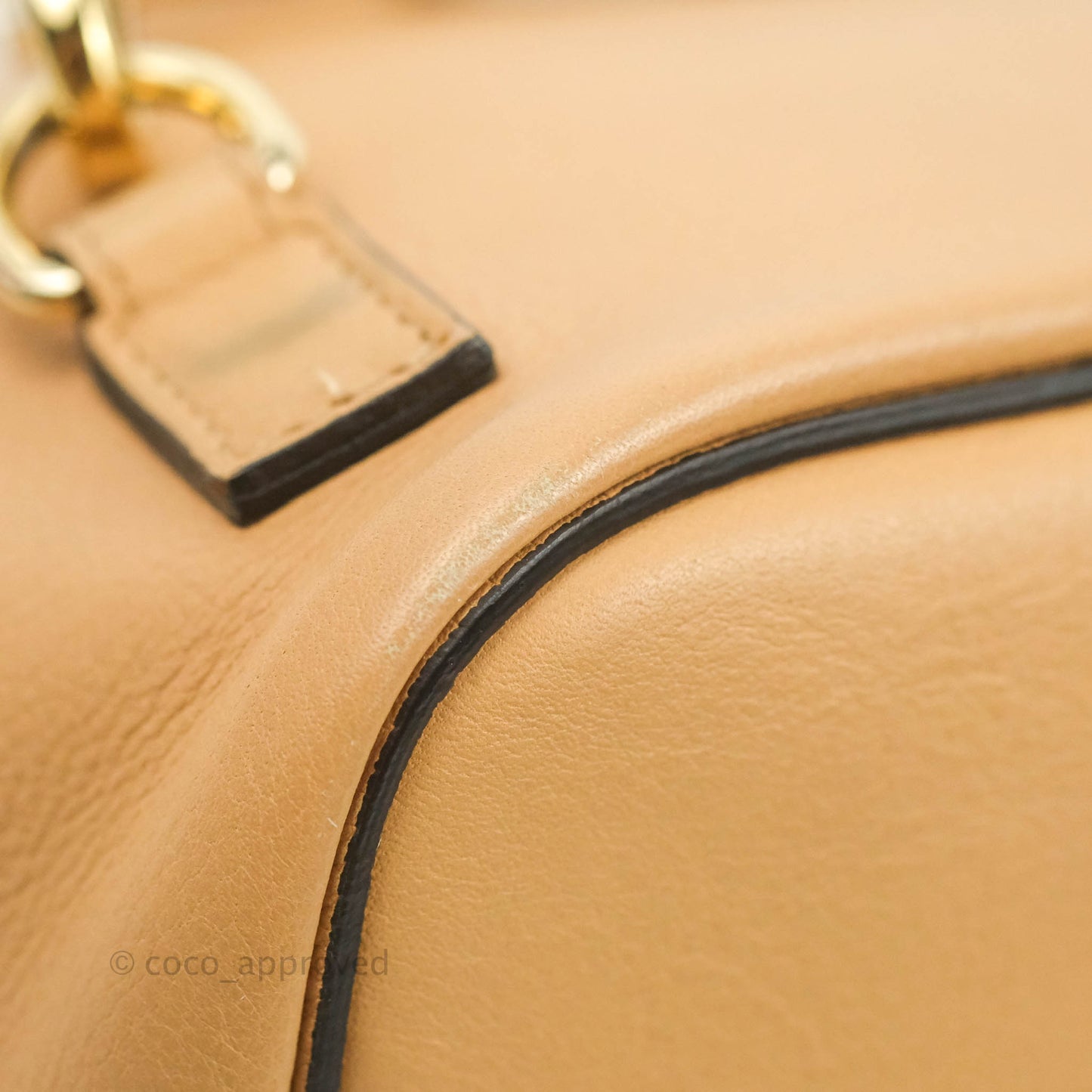 Chloe Small Faye Backpack Suede Calfskin Gold Hardware Blush Nude