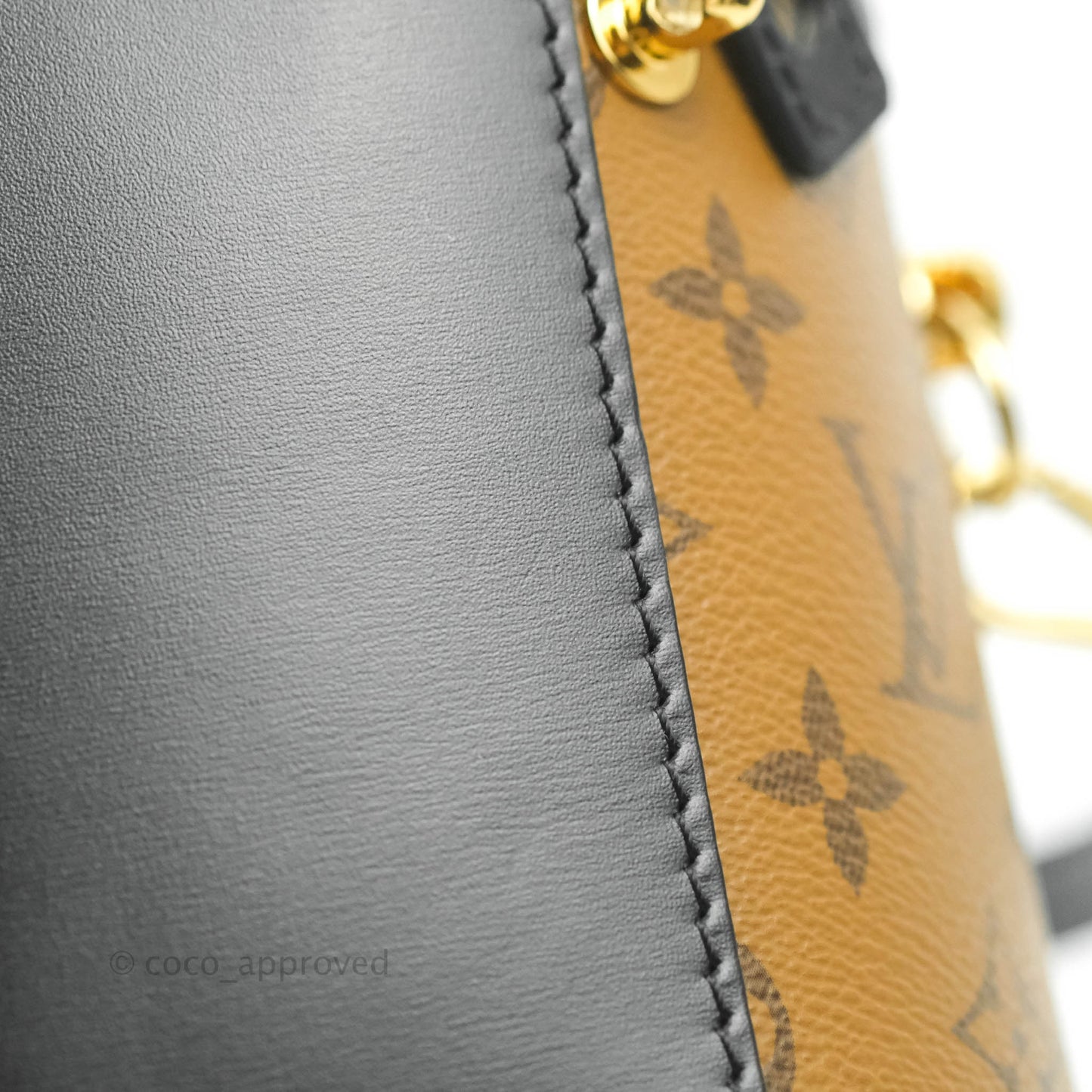Louis Vuitton Monogram Canvas Reverse Cannes Bag