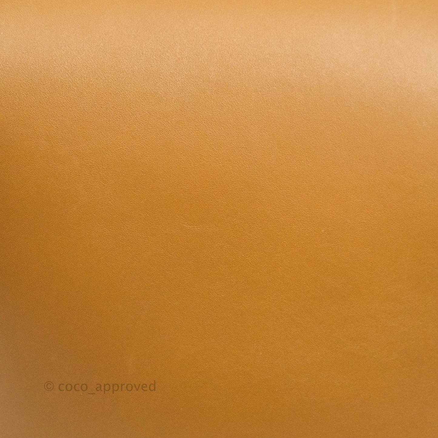 Celine Clasp Bucket Bag Brown