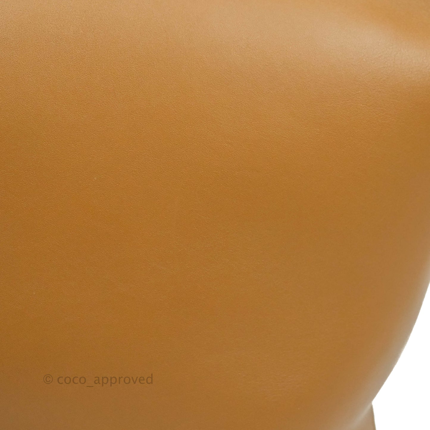 Celine Clasp Bucket Bag Brown