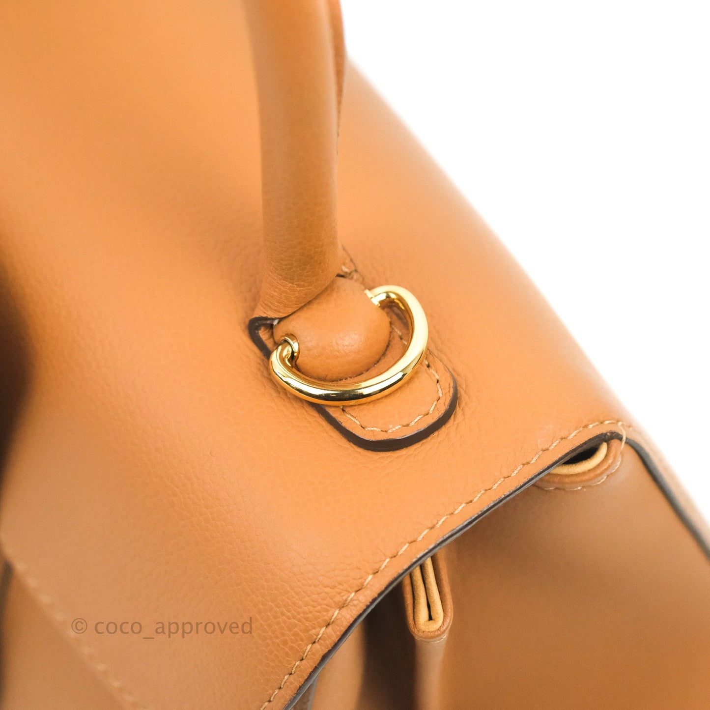 Delvaux Mini Brillant Bag Vegetal Rodeo Calf Gold Hardware