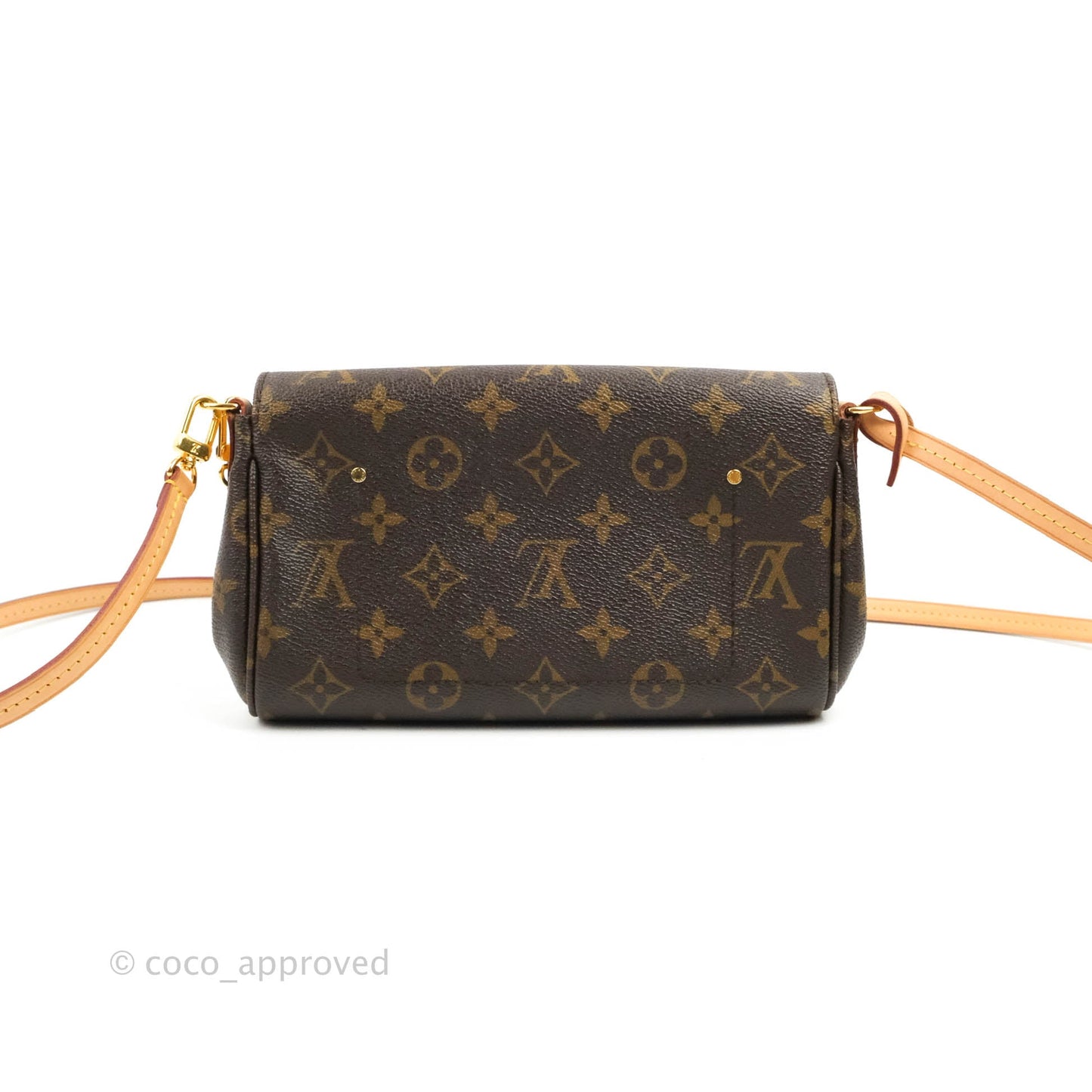 Louis Vuitton Favourite Bag PM Monogram