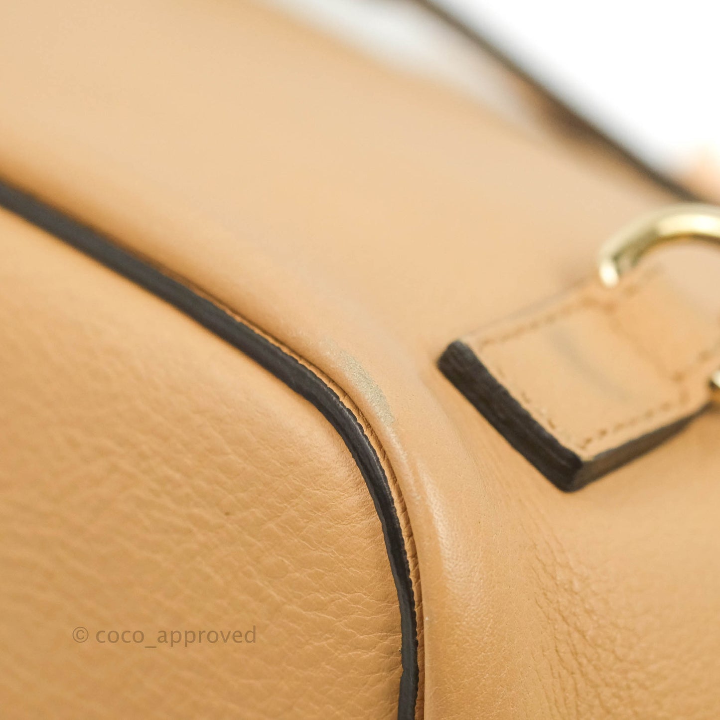 Chloe Small Faye Backpack Suede Calfskin Gold Hardware Blush Nude