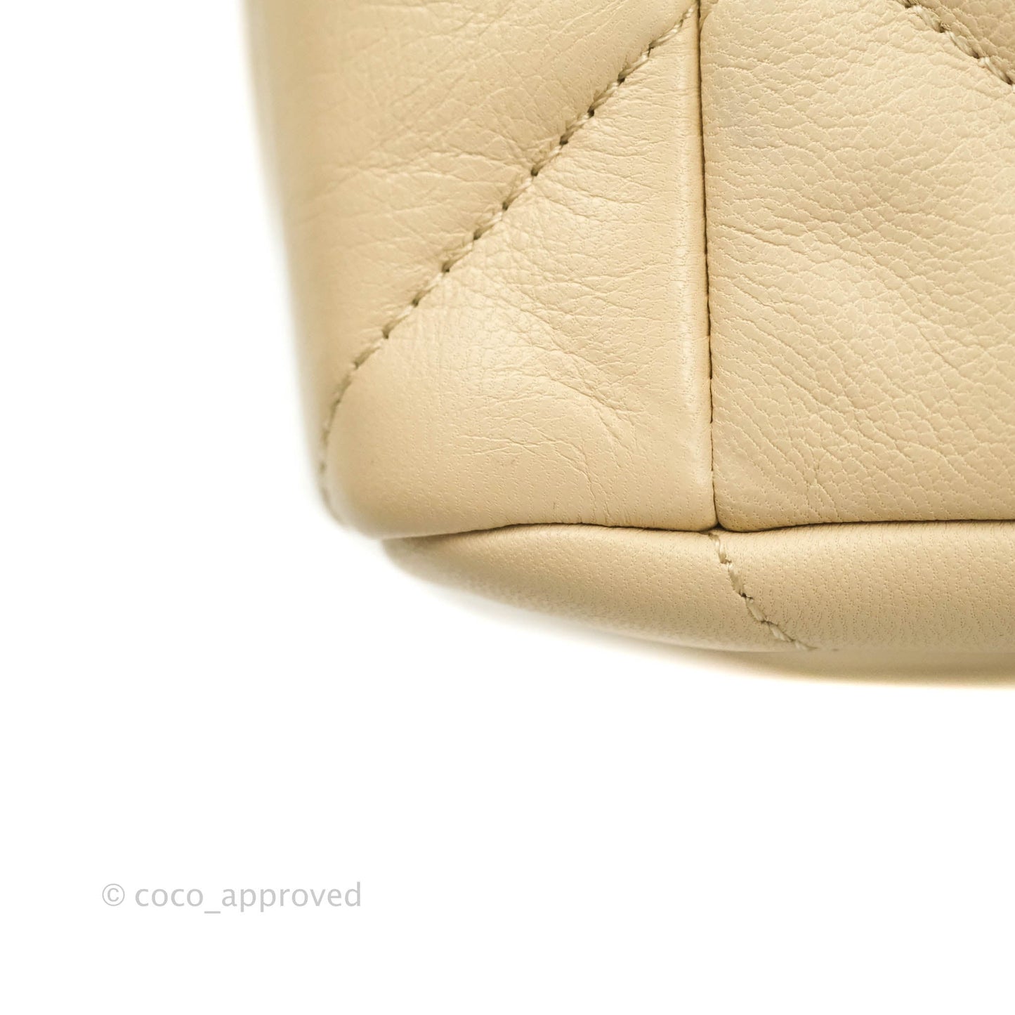 Chanel 19 Medium Beige Goatskin Mixed Hardware 20A