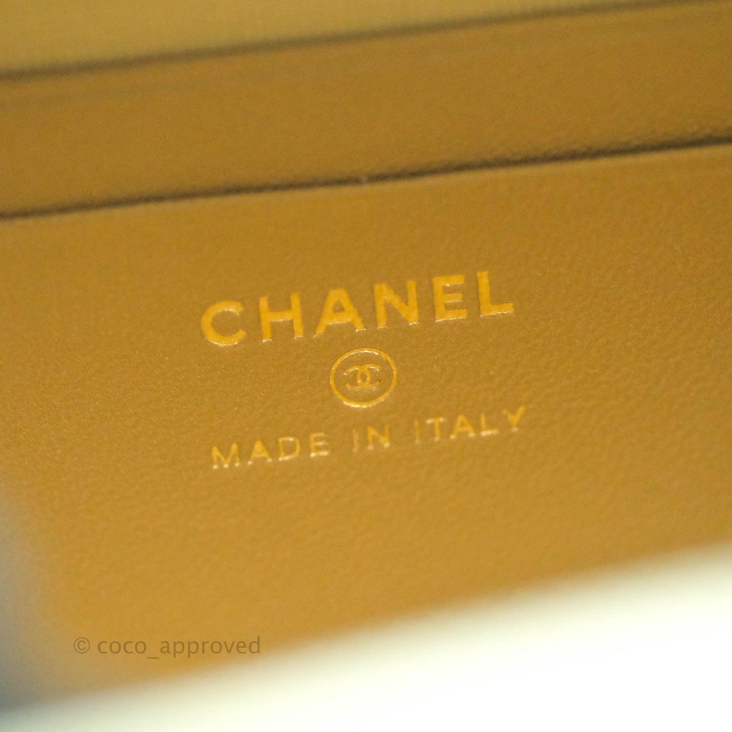 Chanel Mini Pearl Crush Quilted Camera Case Pastel Green Lambskin Aged Gold Hardware