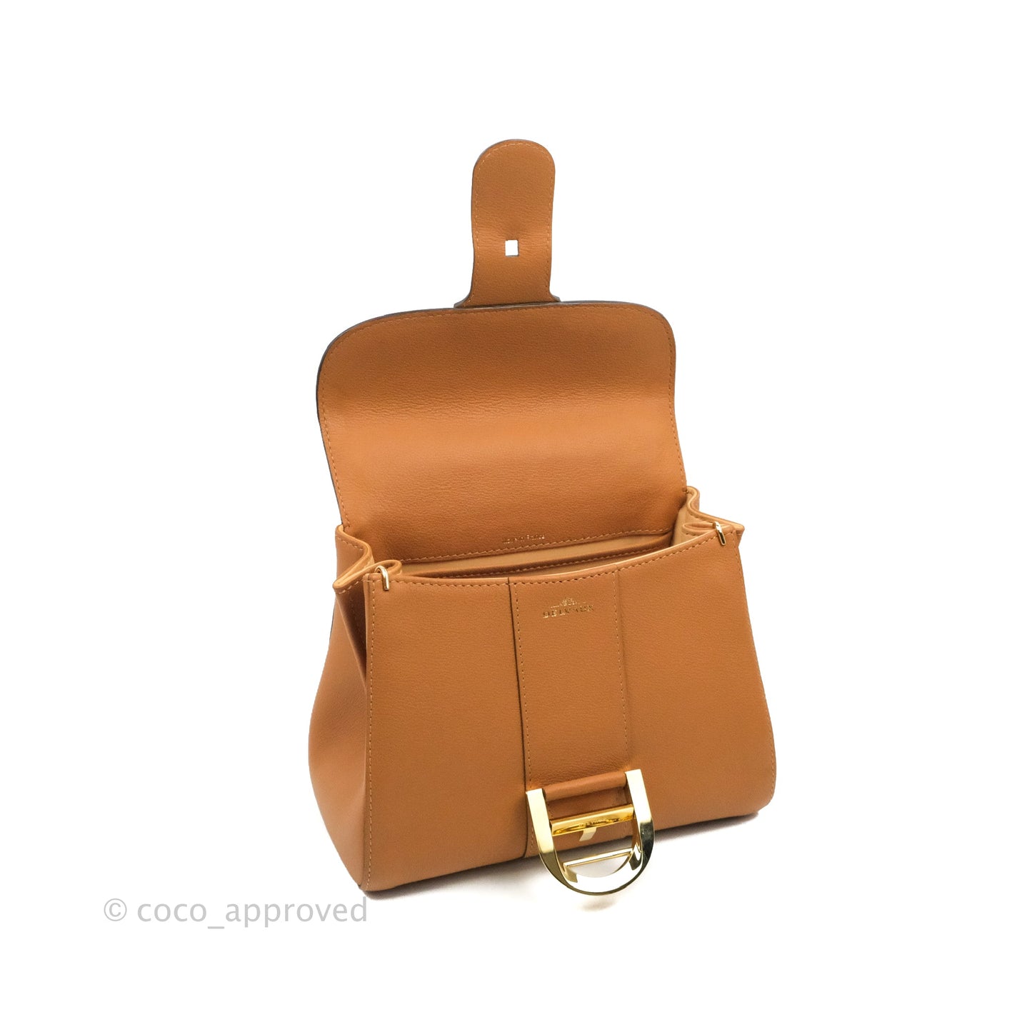 Delvaux Mini Brillant Bag Vegetal Rodeo Calf Gold Hardware