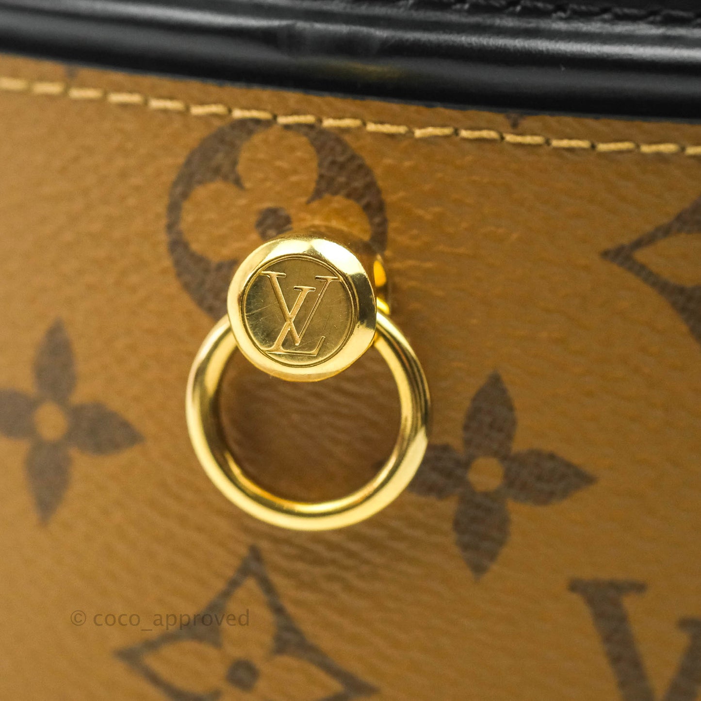 Louis Vuitton Monogram Canvas Reverse Cannes Bag