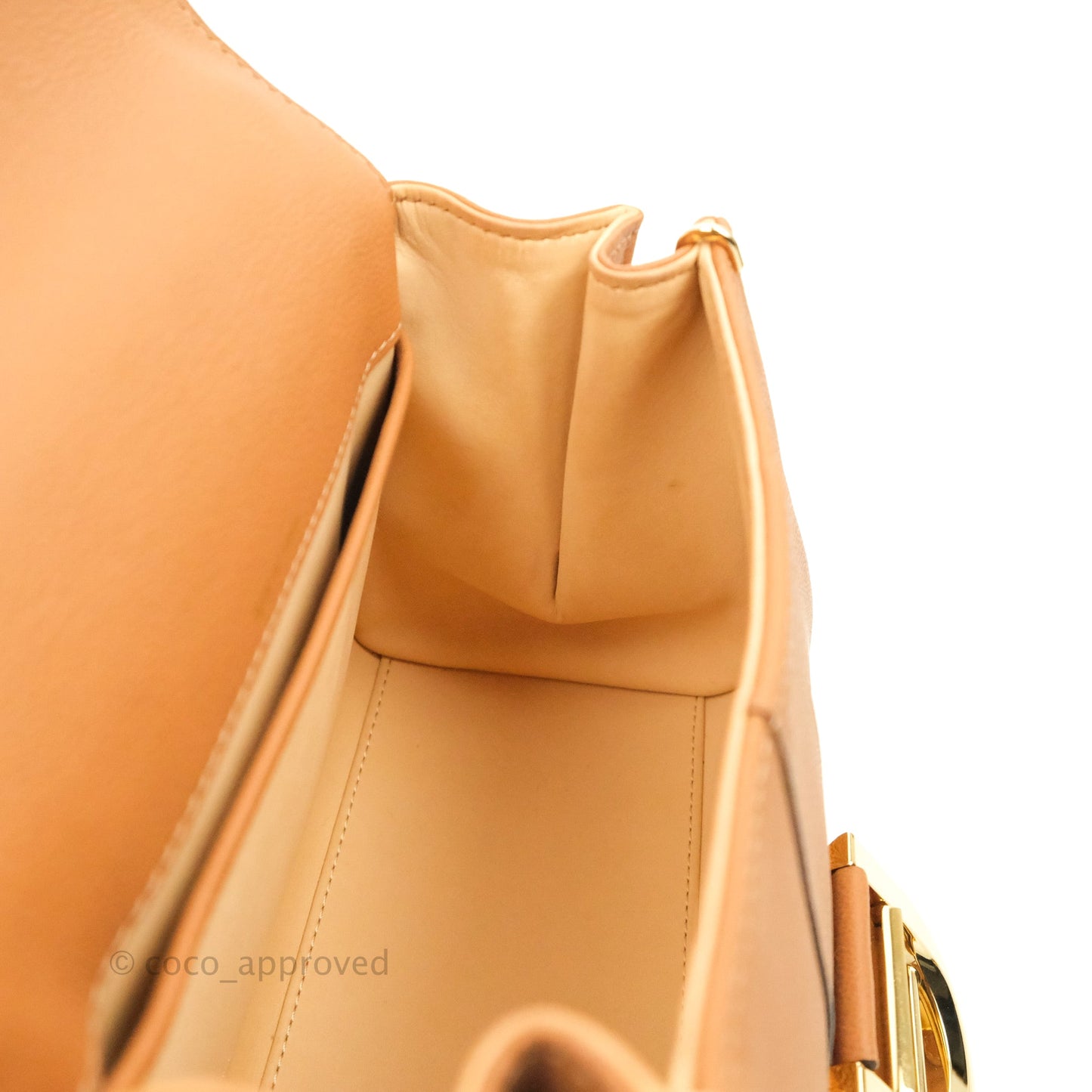 Delvaux Mini Brillant Bag Vegetal Rodeo Calf Gold Hardware