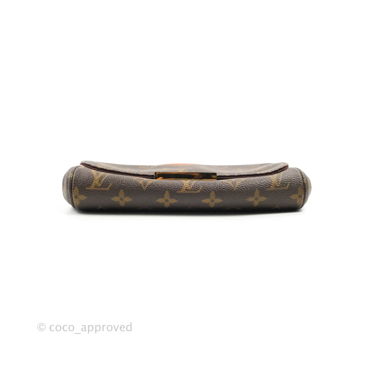 Louis Vuitton Favourite Bag PM Monogram