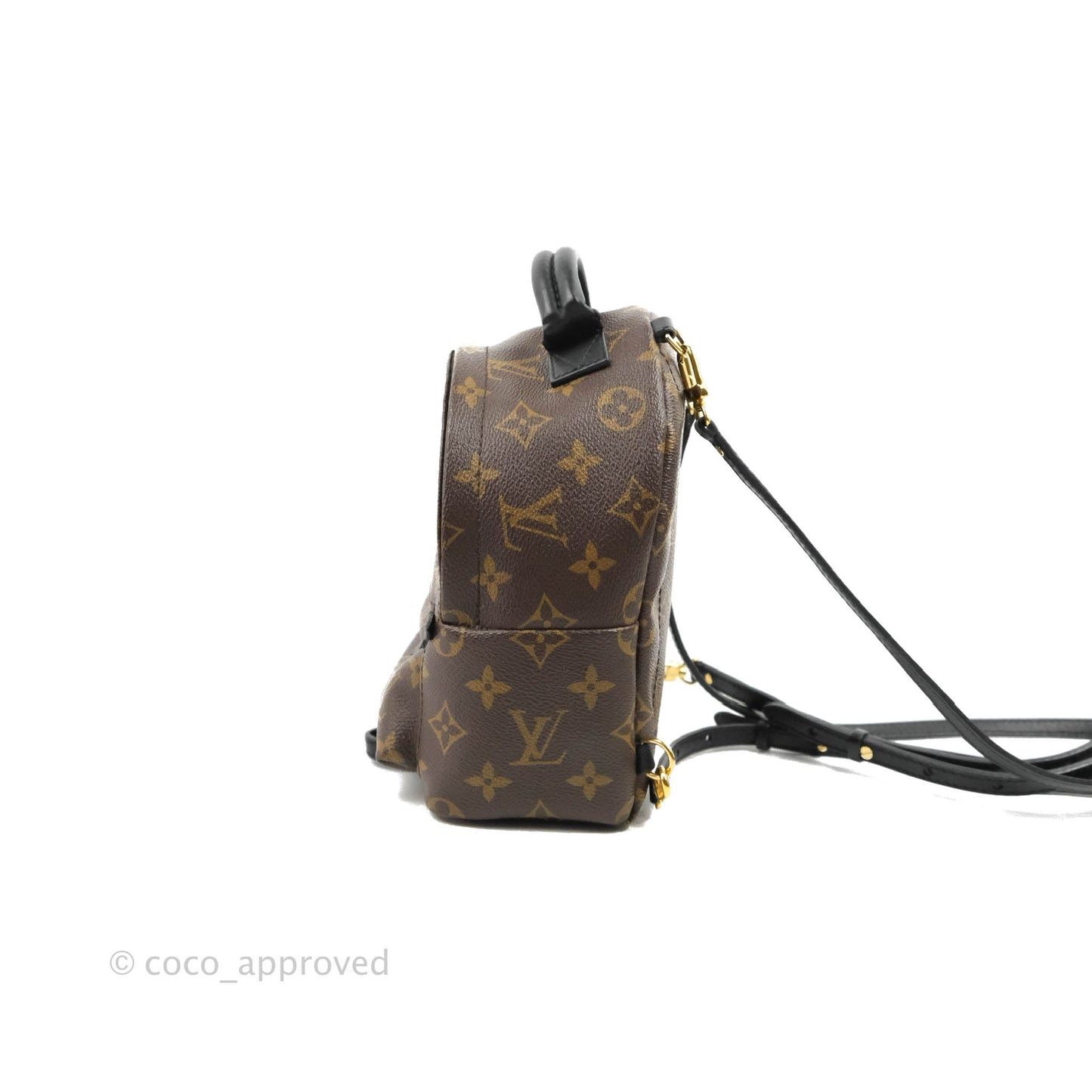 Louis Vuitton Monogram Mini Palm Springs Backpack⁣