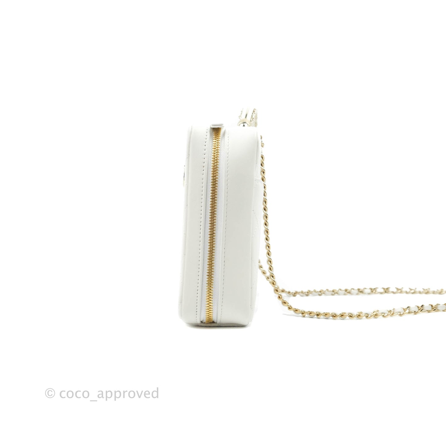 Chanel Circular Handle Zip Around Vanity Case White Calfskin Gold Hardware 20S