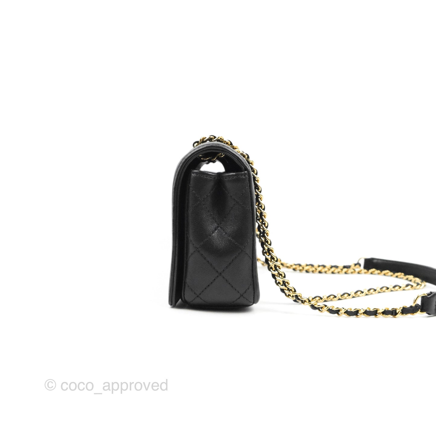 Chanel Small Vintage Mademoiselle Flap Black Sheepskin Gold Hardware