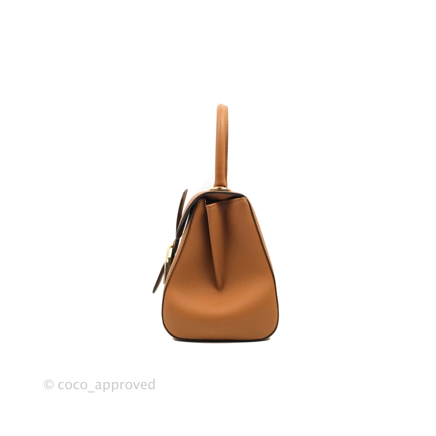 Delvaux Mini Brillant Bag Vegetal Rodeo Calf Gold Hardware