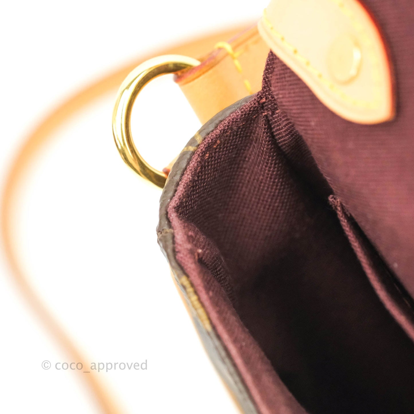 Louis Vuitton Monogram Canvas Saint Cloud Bag