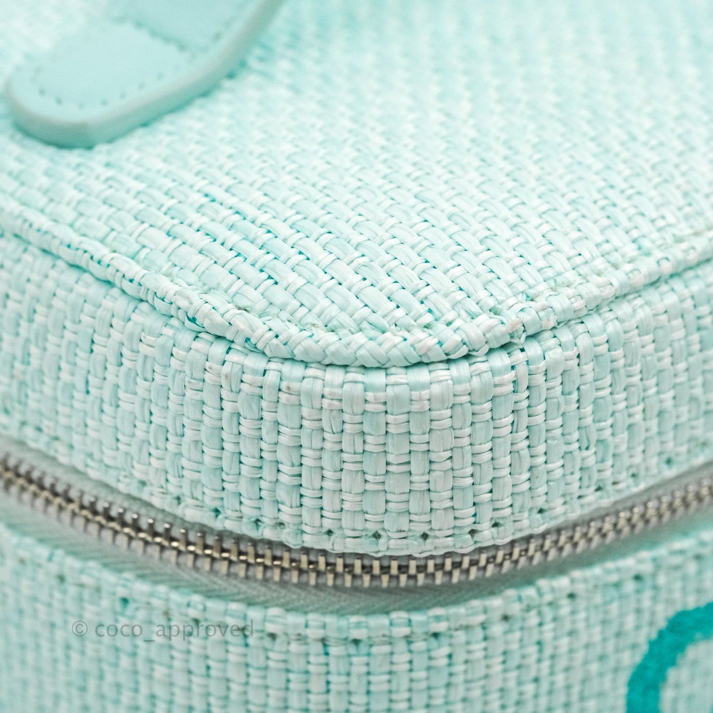 Chanel Deauville Vanity Pouch Mint Raffia Calfskin