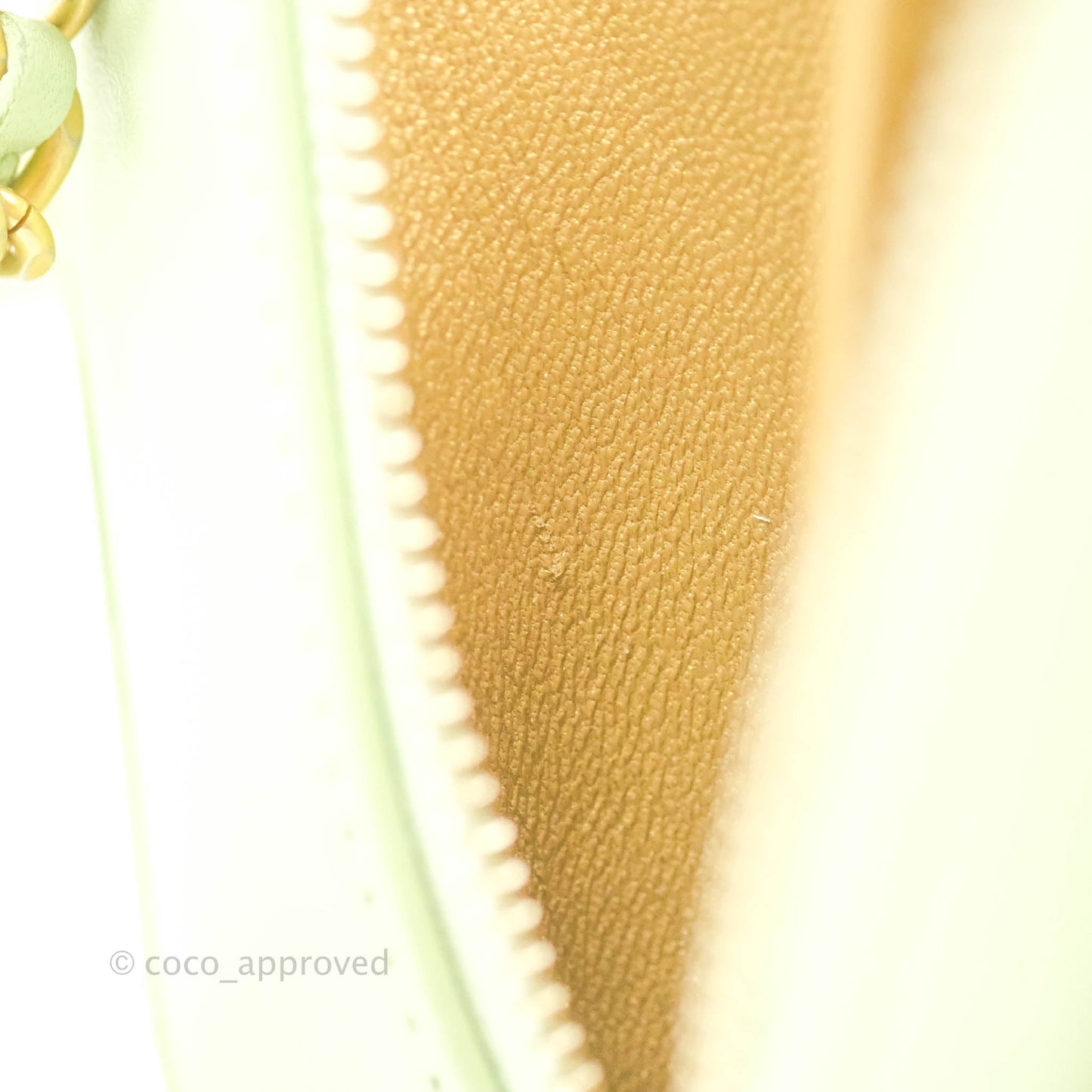 Chanel Mini Pearl Crush Quilted Camera Case Pastel Green Lambskin Aged Gold Hardware
