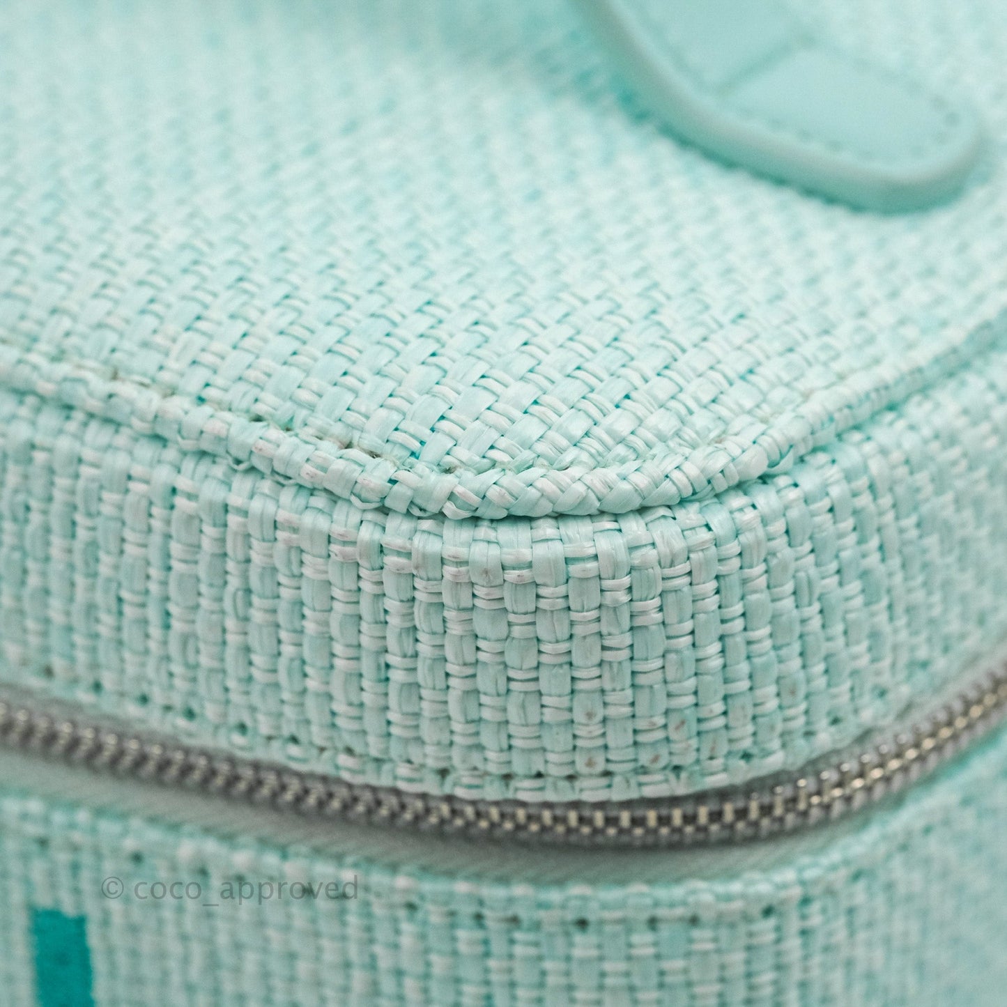 Chanel Deauville Vanity Pouch Mint Raffia Calfskin