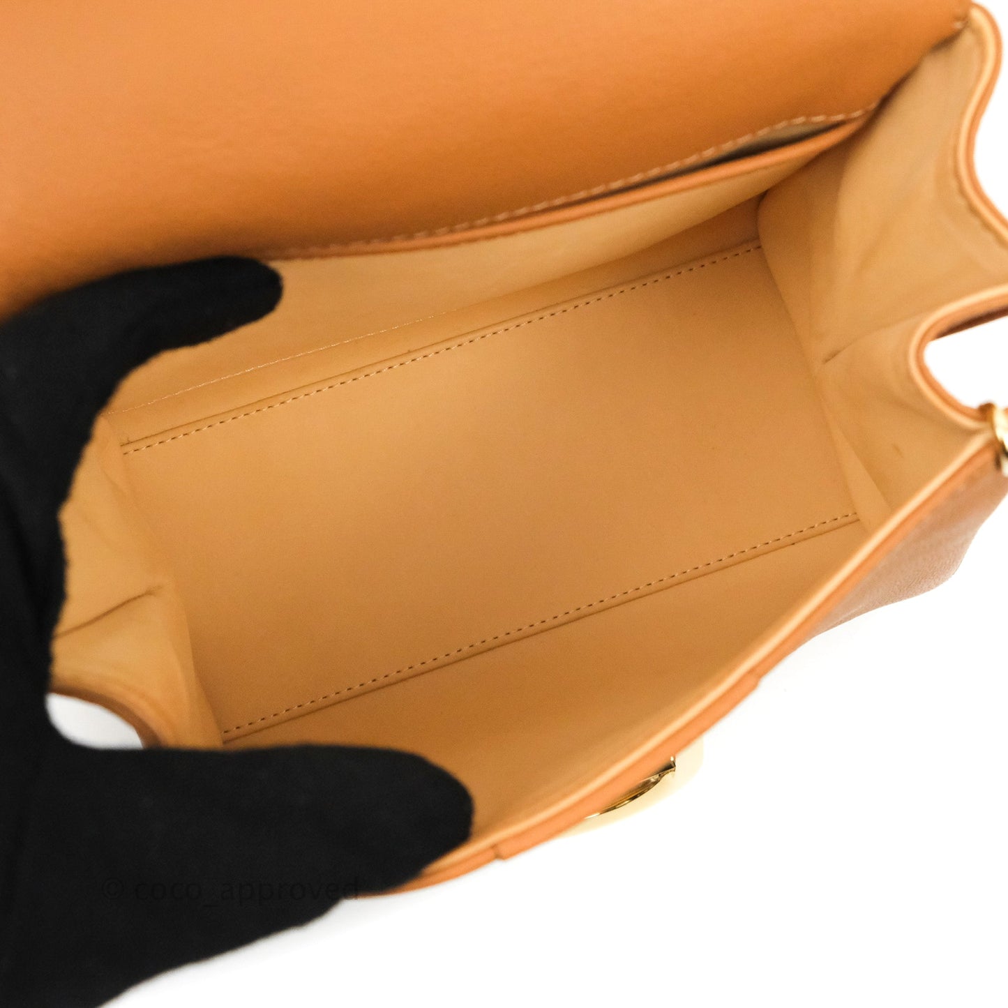 Delvaux Mini Brillant Bag Vegetal Rodeo Calf Gold Hardware