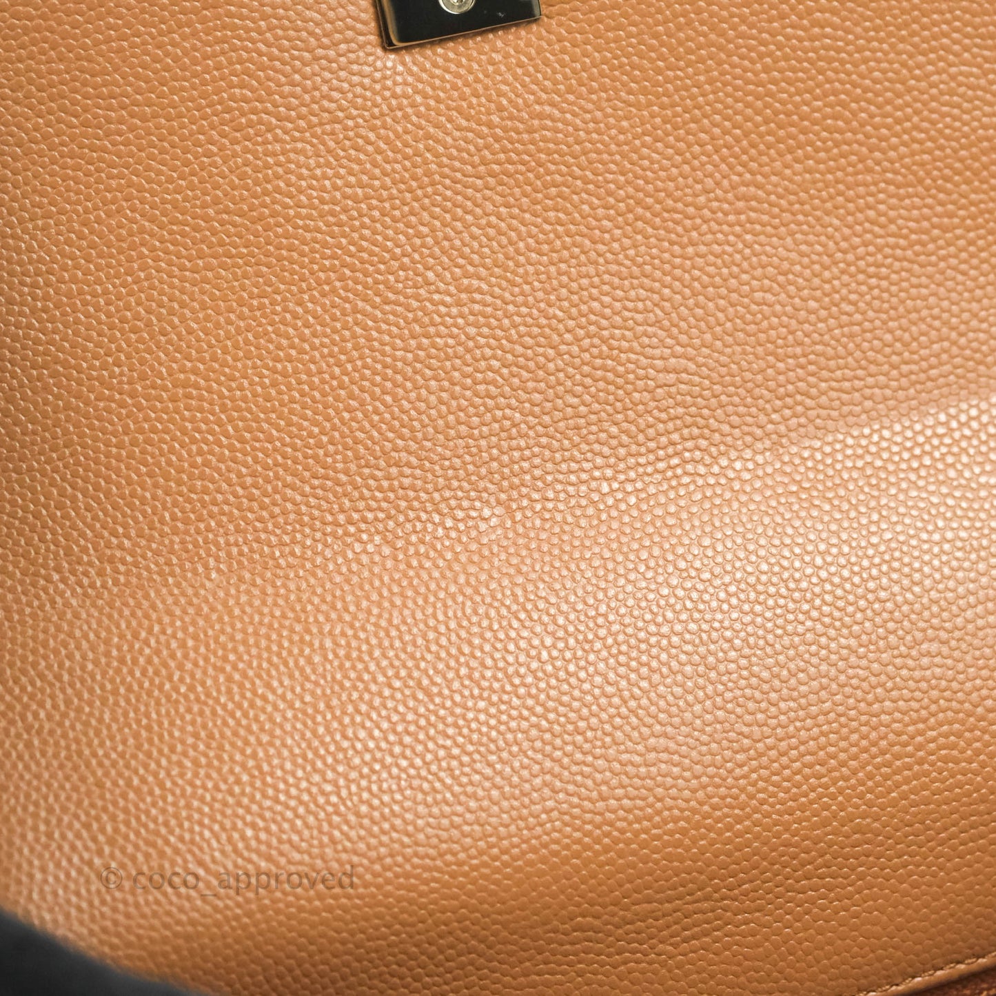 Chanel Mini Coco Handle Quilted Dark Beige Caramel Caviar Lizard Embossed Handle Gold Hardware