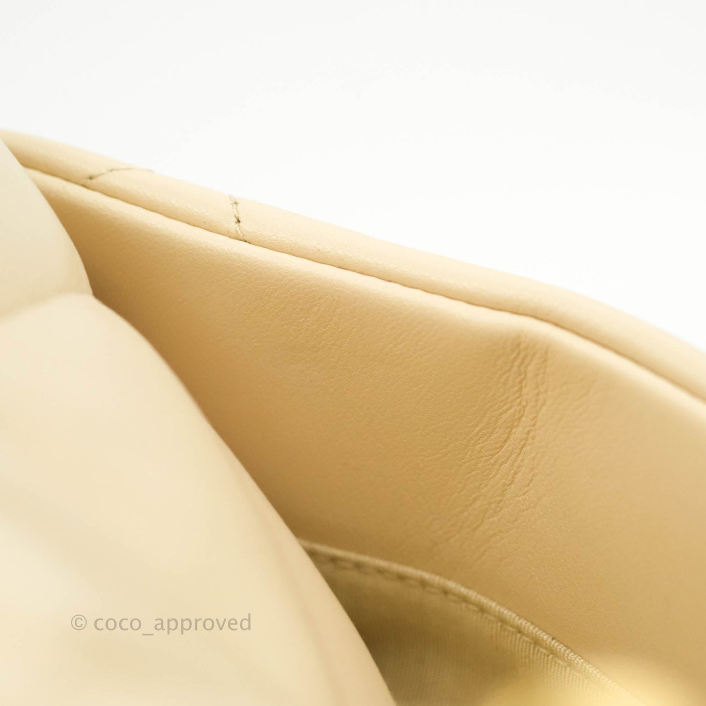 Chanel 19 Medium Beige Goatskin Mixed Hardware 20A