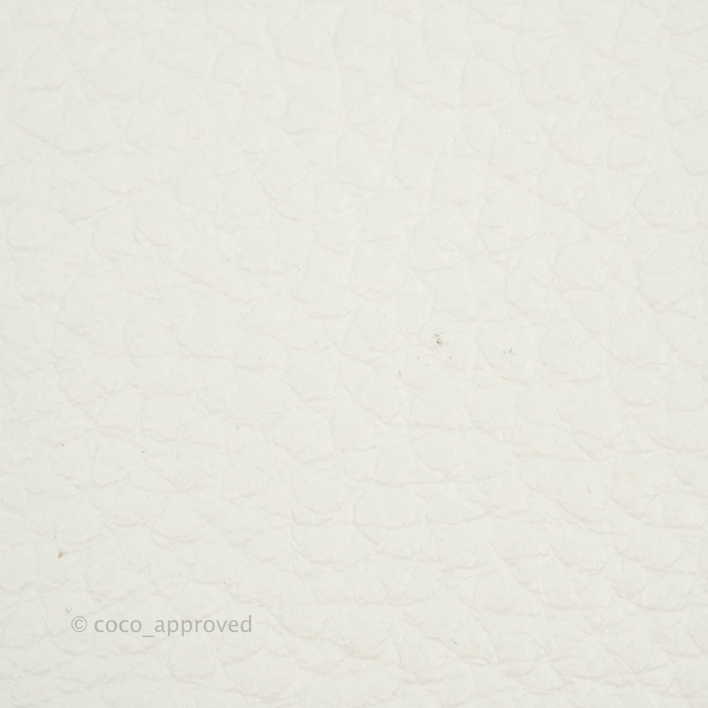 Louis Vuitton Taurillon Capucines BB Snow