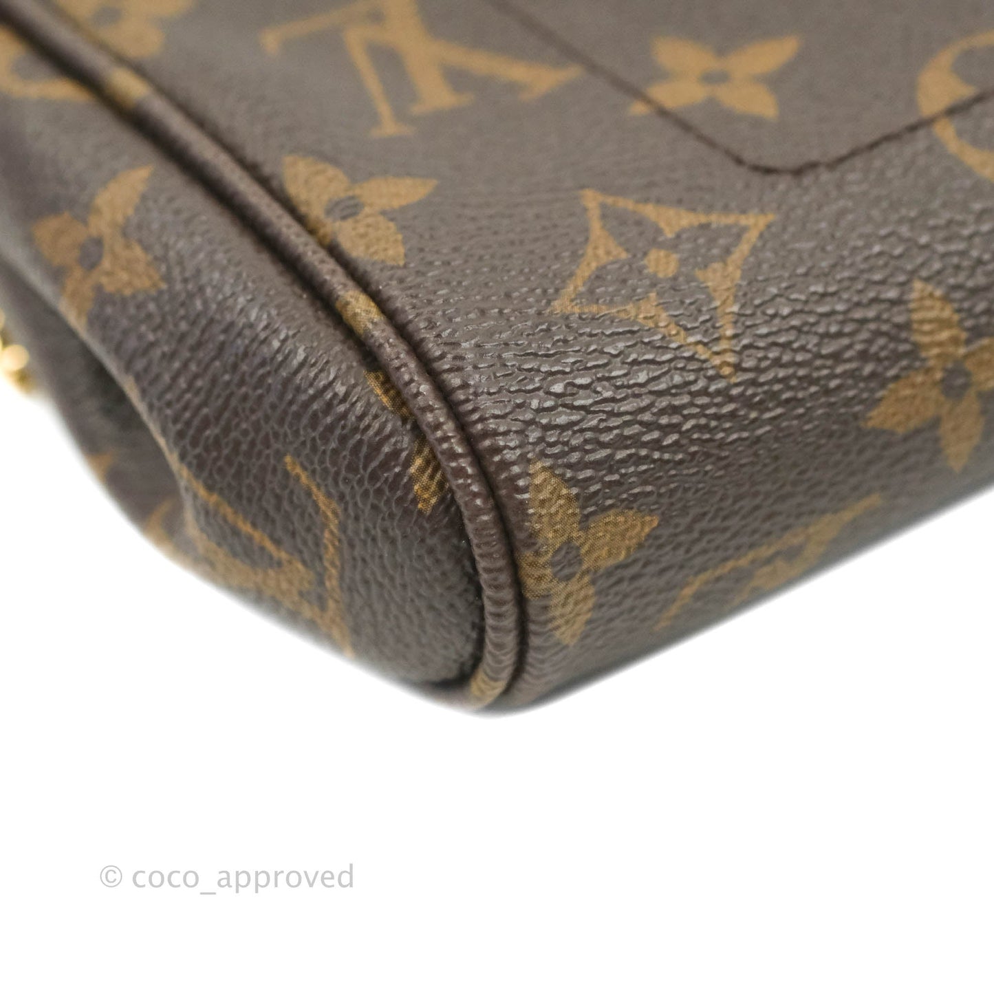 Louis Vuitton Favourite Bag PM Monogram