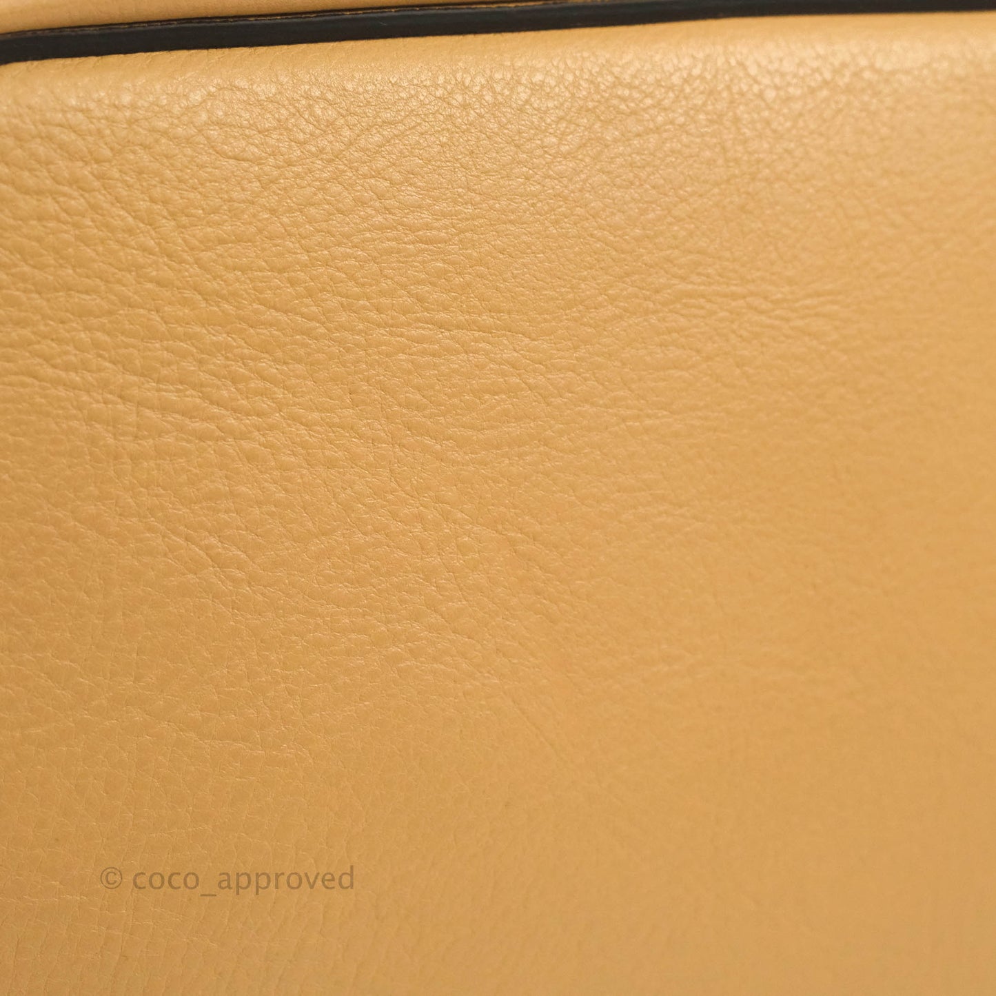 Chloe Small Faye Backpack Suede Calfskin Gold Hardware Blush Nude