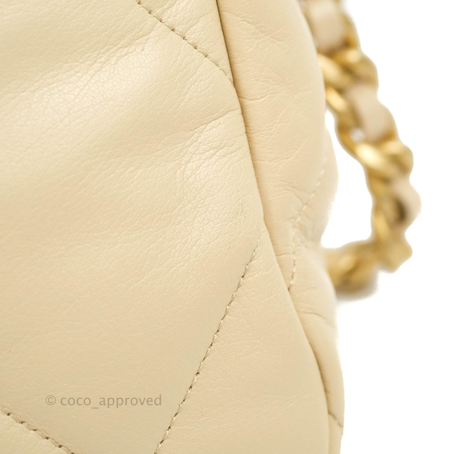 Chanel 19 Medium Beige Goatskin Mixed Hardware 20A