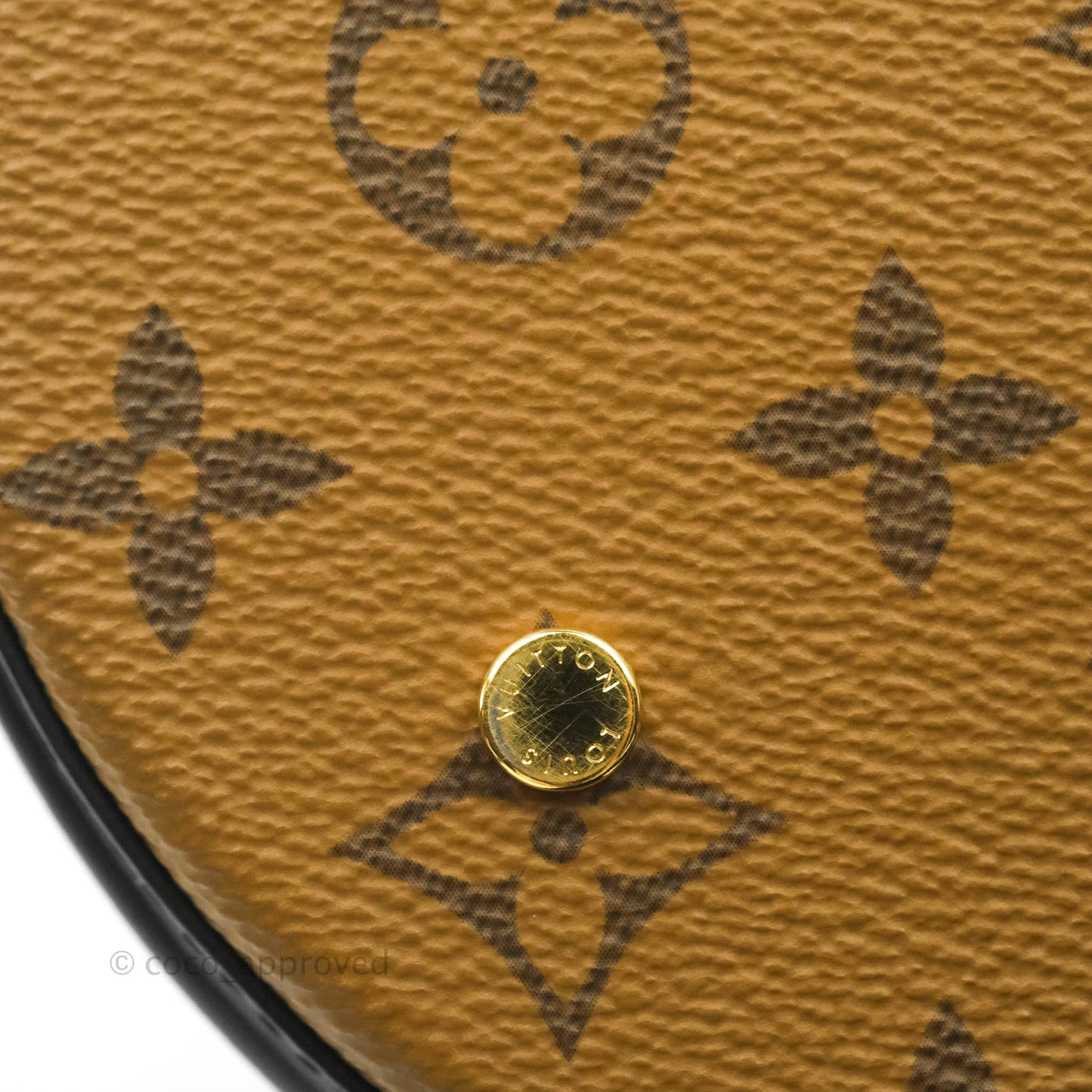 Louis Vuitton Monogram Canvas Reverse Cannes Bag